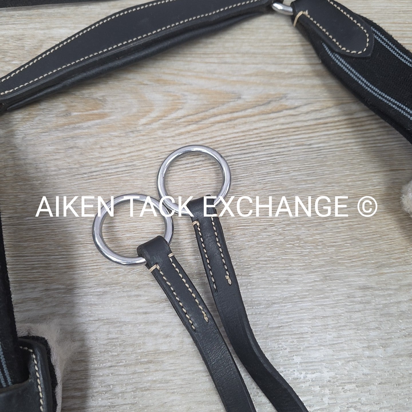 5 Point Elastic Breastplate with Running Martingale Attachment, Black, Size Pony