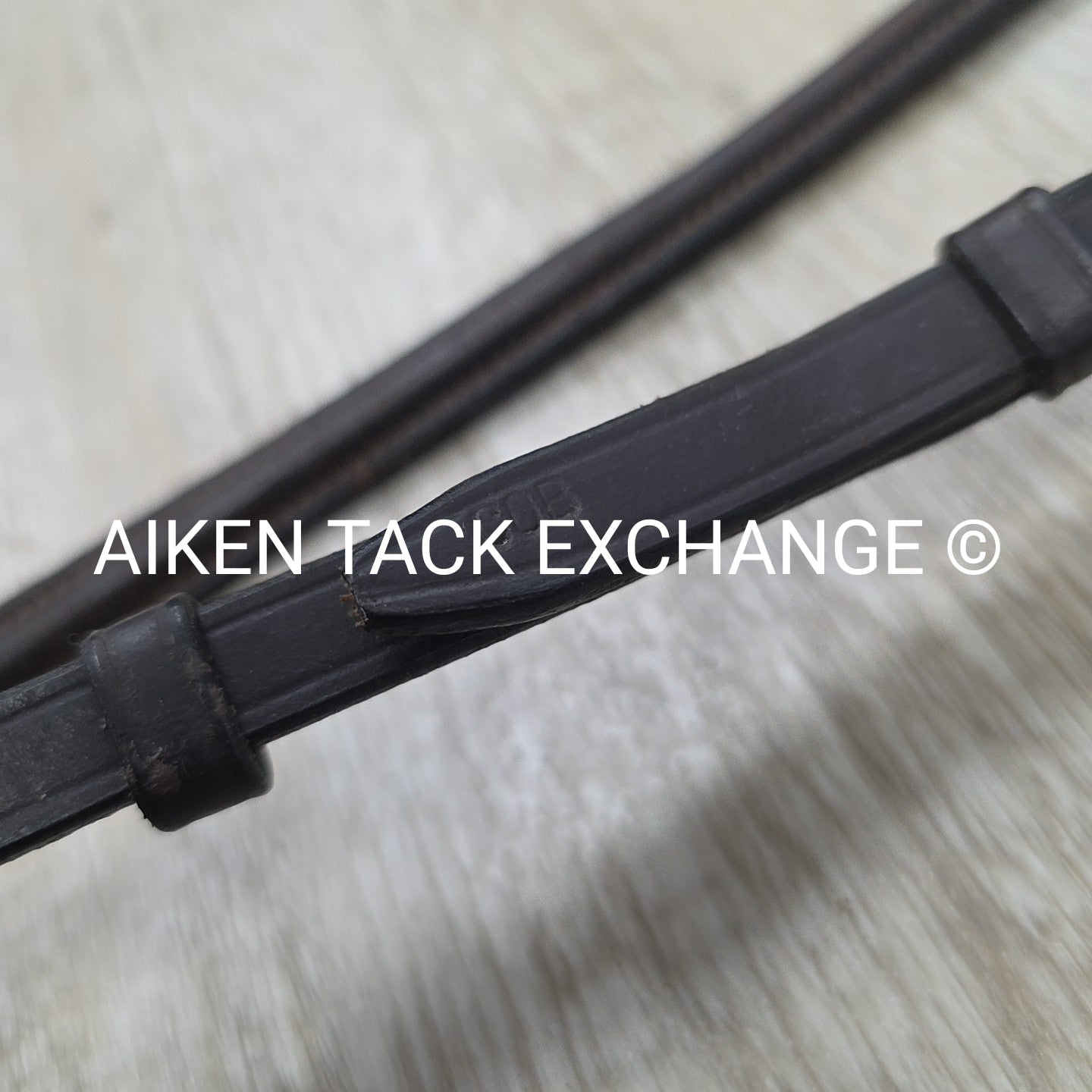 Plain Raised Standing Martingale, Brown, Size Cob