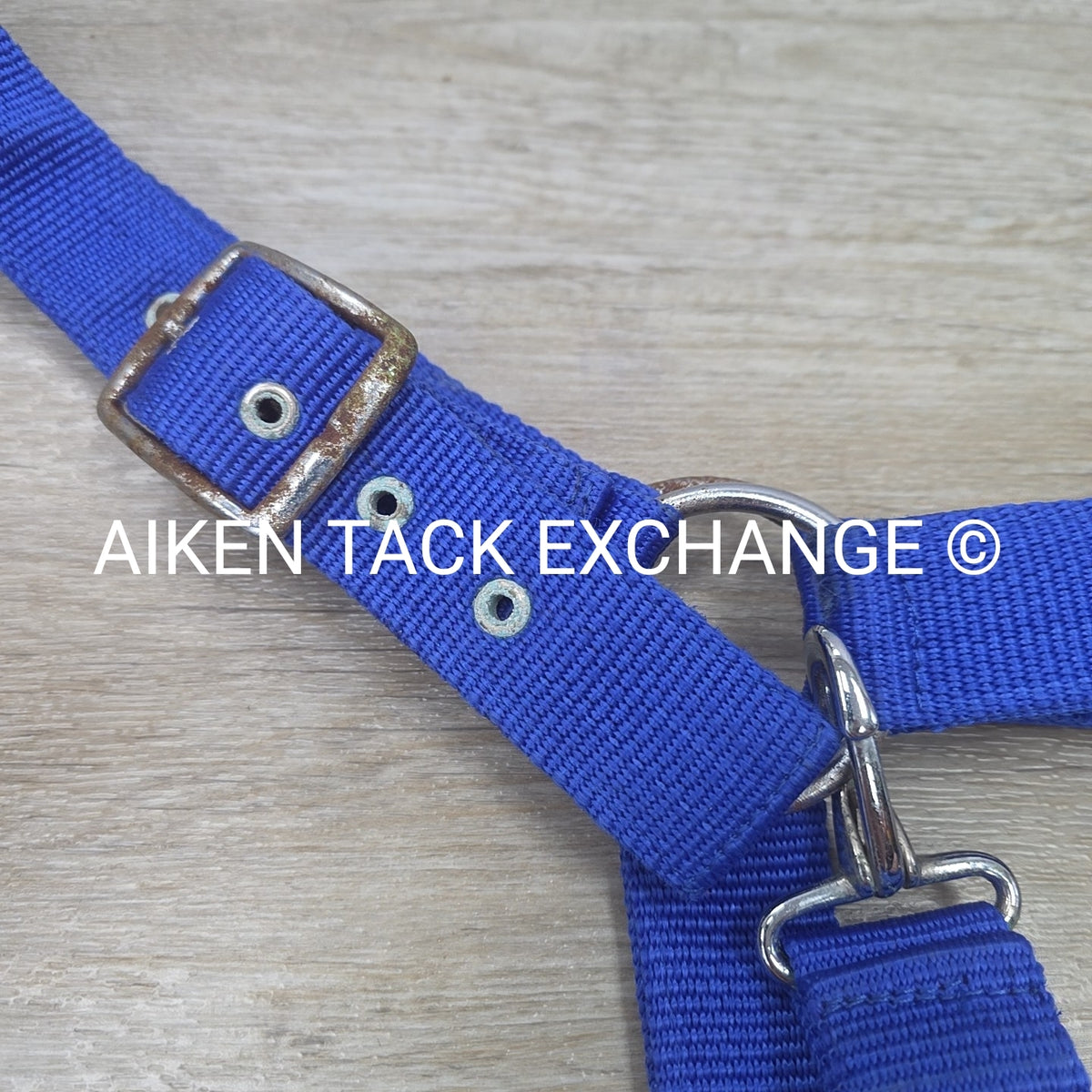 Nylon Halter, Draft
