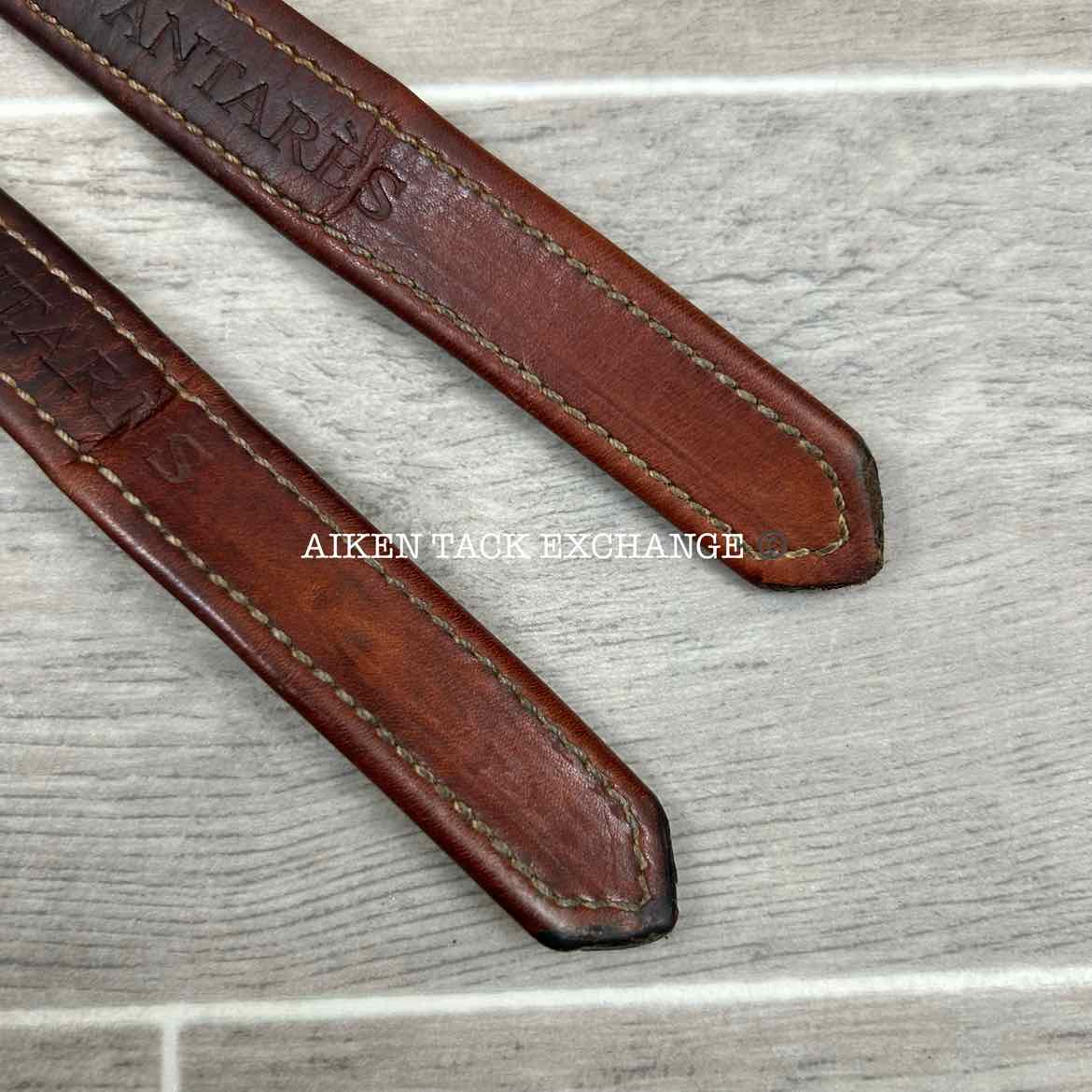 Antares Stirrup Leathers, Brown, 50"