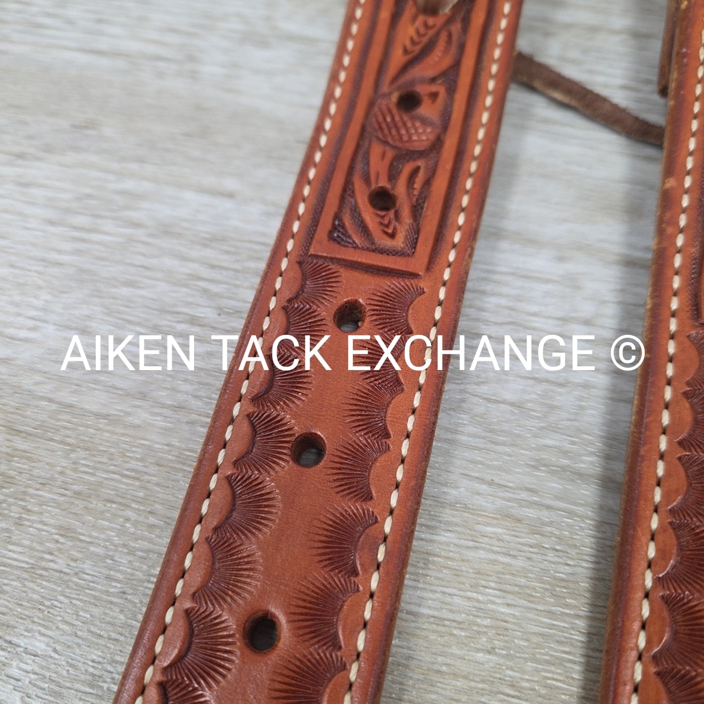 Rear Cinch Billets with Extenders