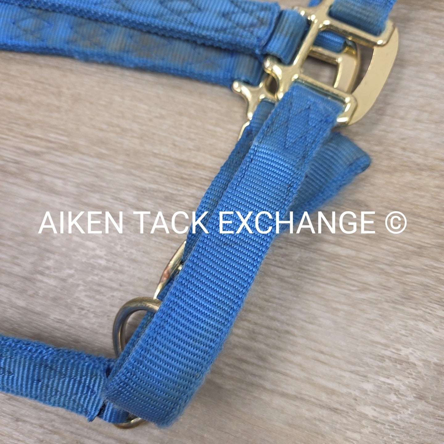 Nylon Breakaway Halter, Size Large