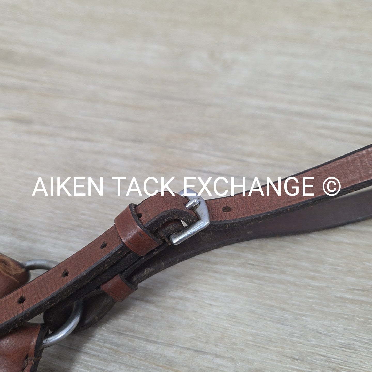 Plain Raised Adjustable Breastplate, Brown, Size Full