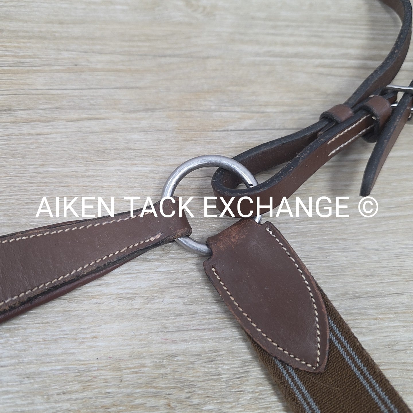 HDR Pro 5 Point Elastic Breastplate, Brown, Size Full