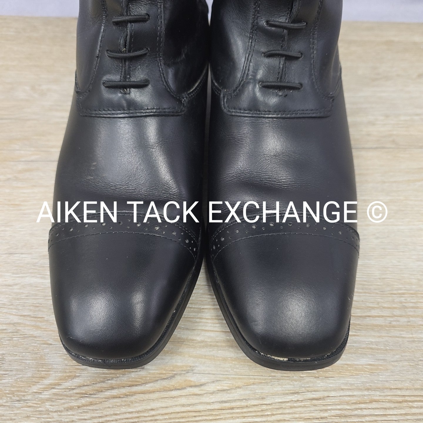 Ariat Monaco Field Boots, Size 9 Medium Slim