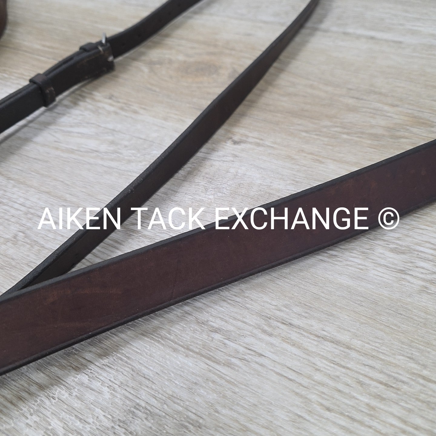 Horse Country First Flight Standing Martingale, Brown, Oversize