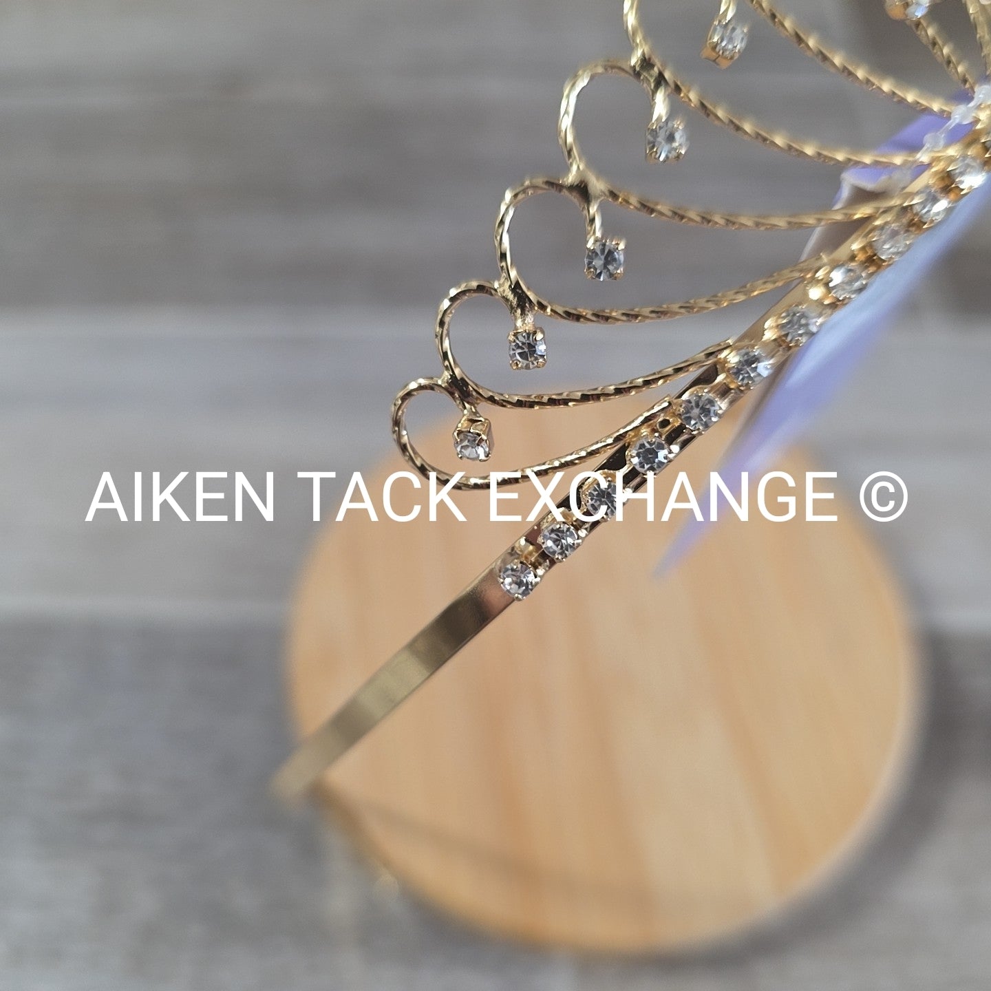 Claire's Tiara + Necklace