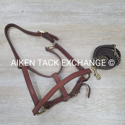 BARGAIN BUNDLE: Perri's Leather Halter with Leather Lead Chain