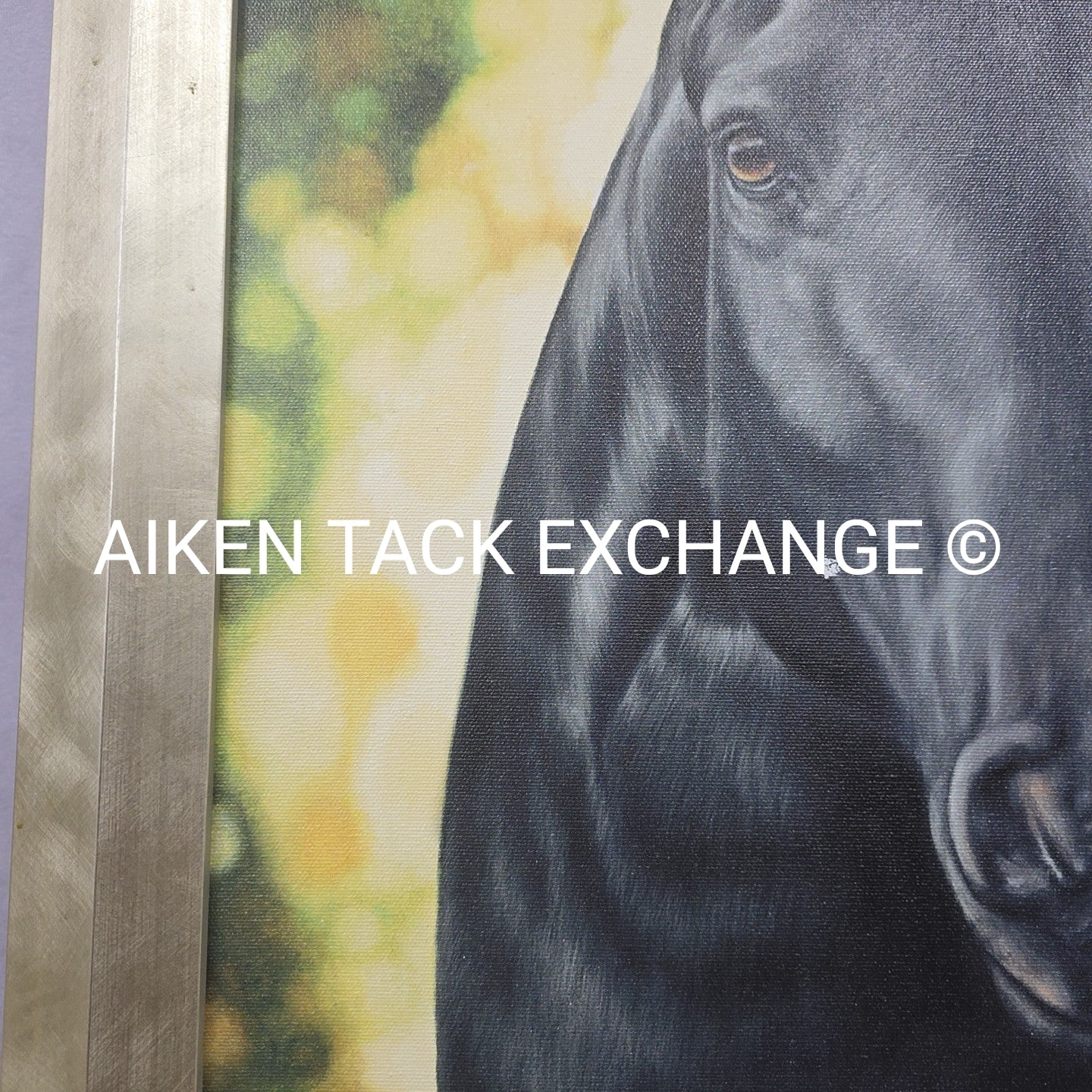 Horse Print on Canvas, 25.5" x 31.5"