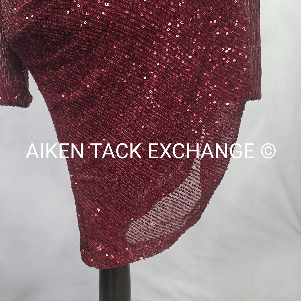 Premier Amour Long Sleeve Dress, Size 4