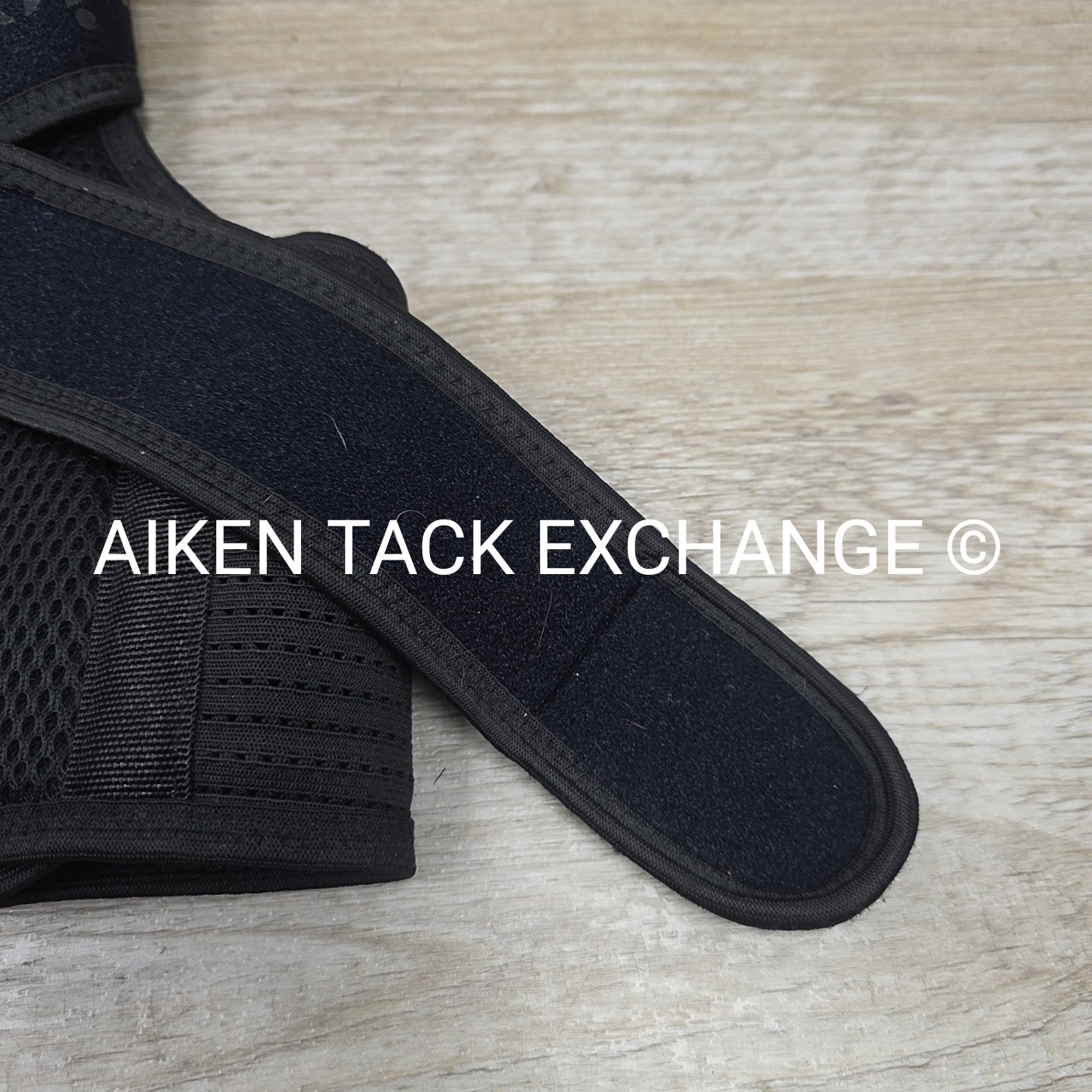 Equestorian Back Brace, Size Large