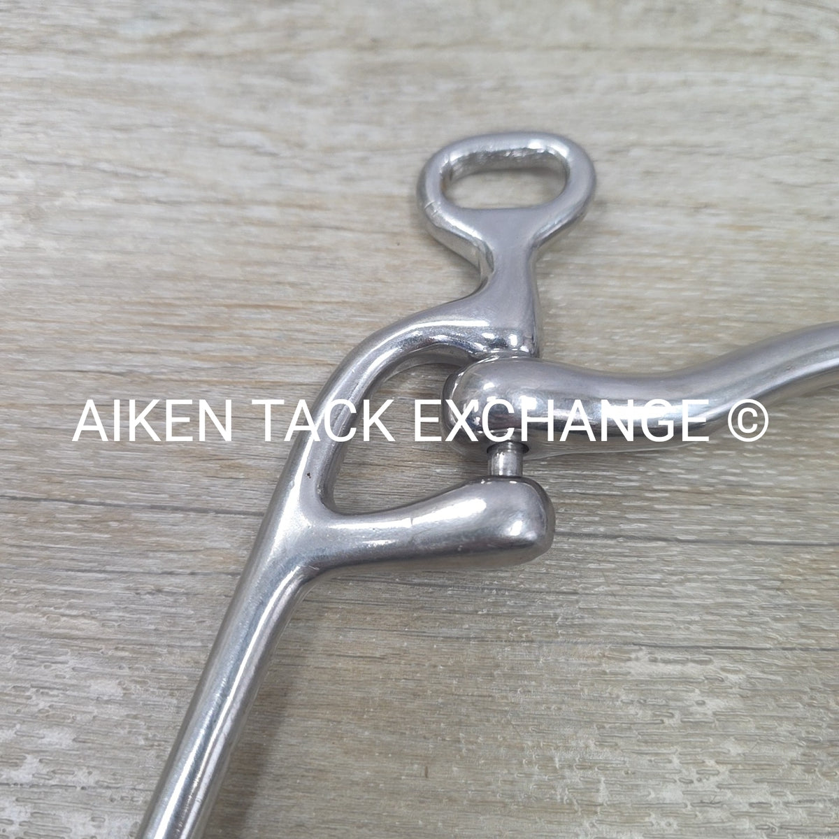 Mullen Mouth Shanked Walking Horse Bit 5"