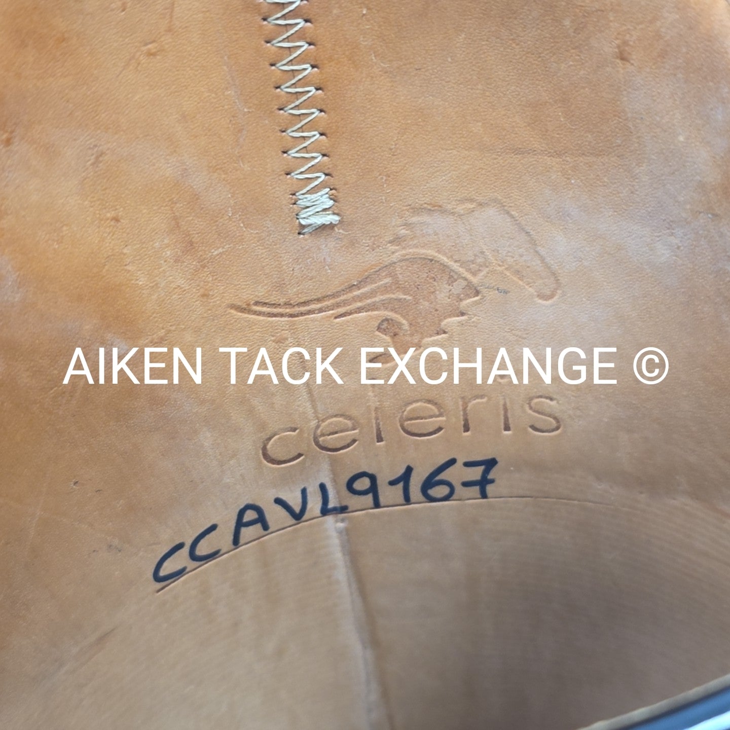 Celeris Passage Dressage Boot, Size 7-7.5  H 44.5 W 39