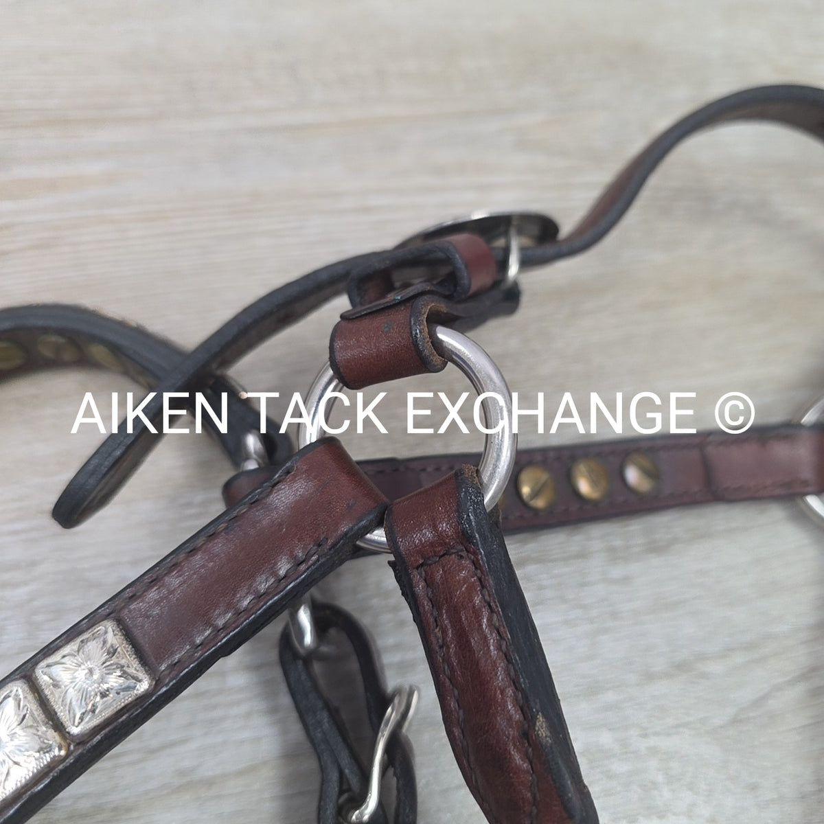 Western Show Halter, Size Foal
