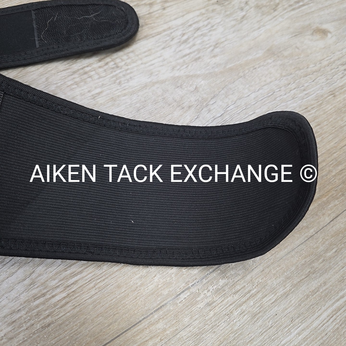 Equestorian Back Brace, Size Large