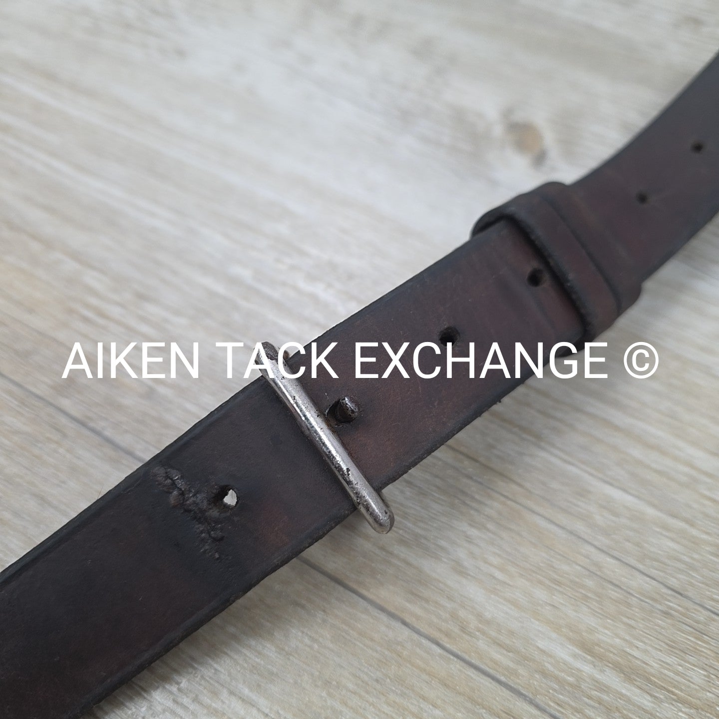 Horse Country First Flight Standing Martingale, Brown, Oversize