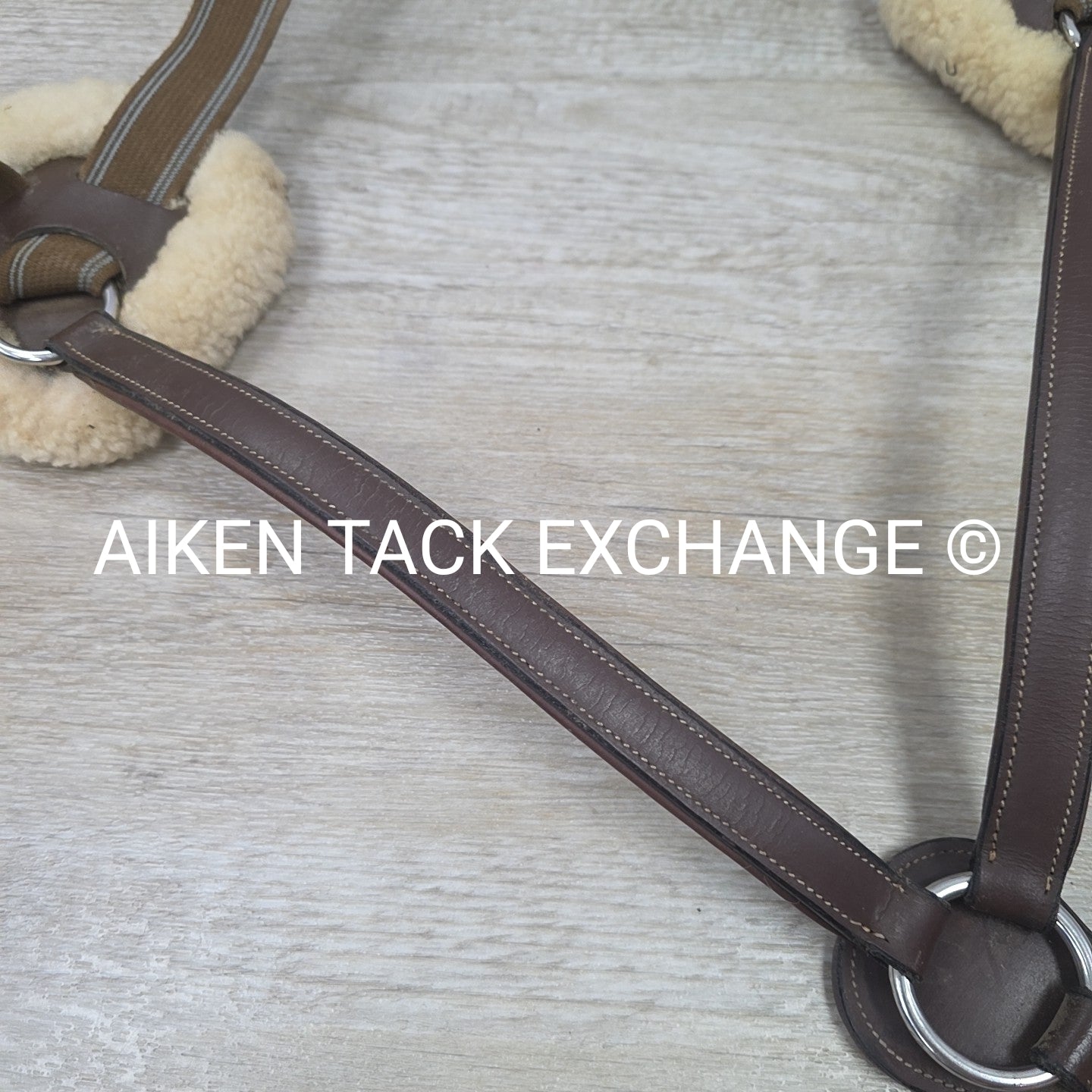 HDR Pro 5 Point Elastic Breastplate, Brown, Size Full