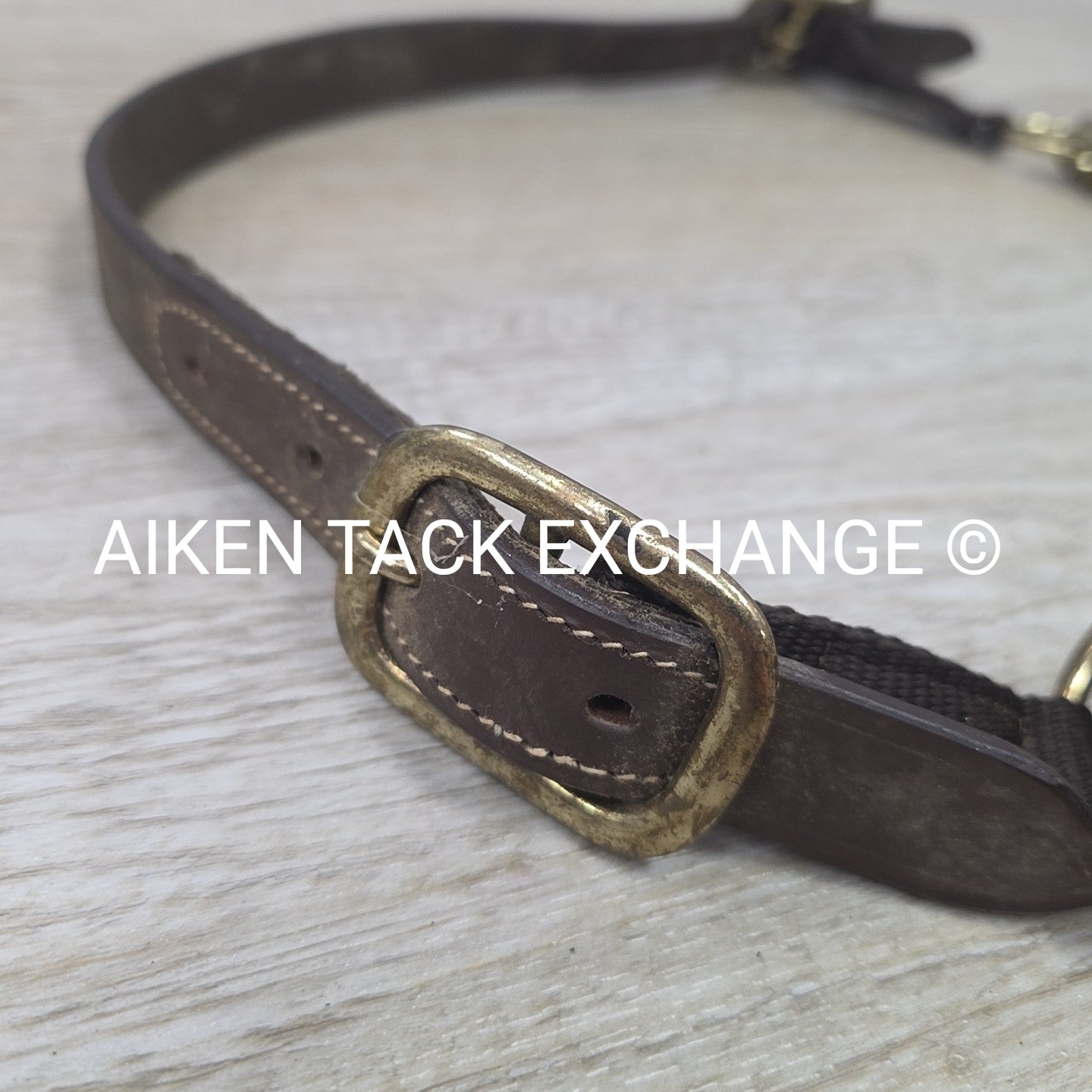Nylon Halter, Size Cob