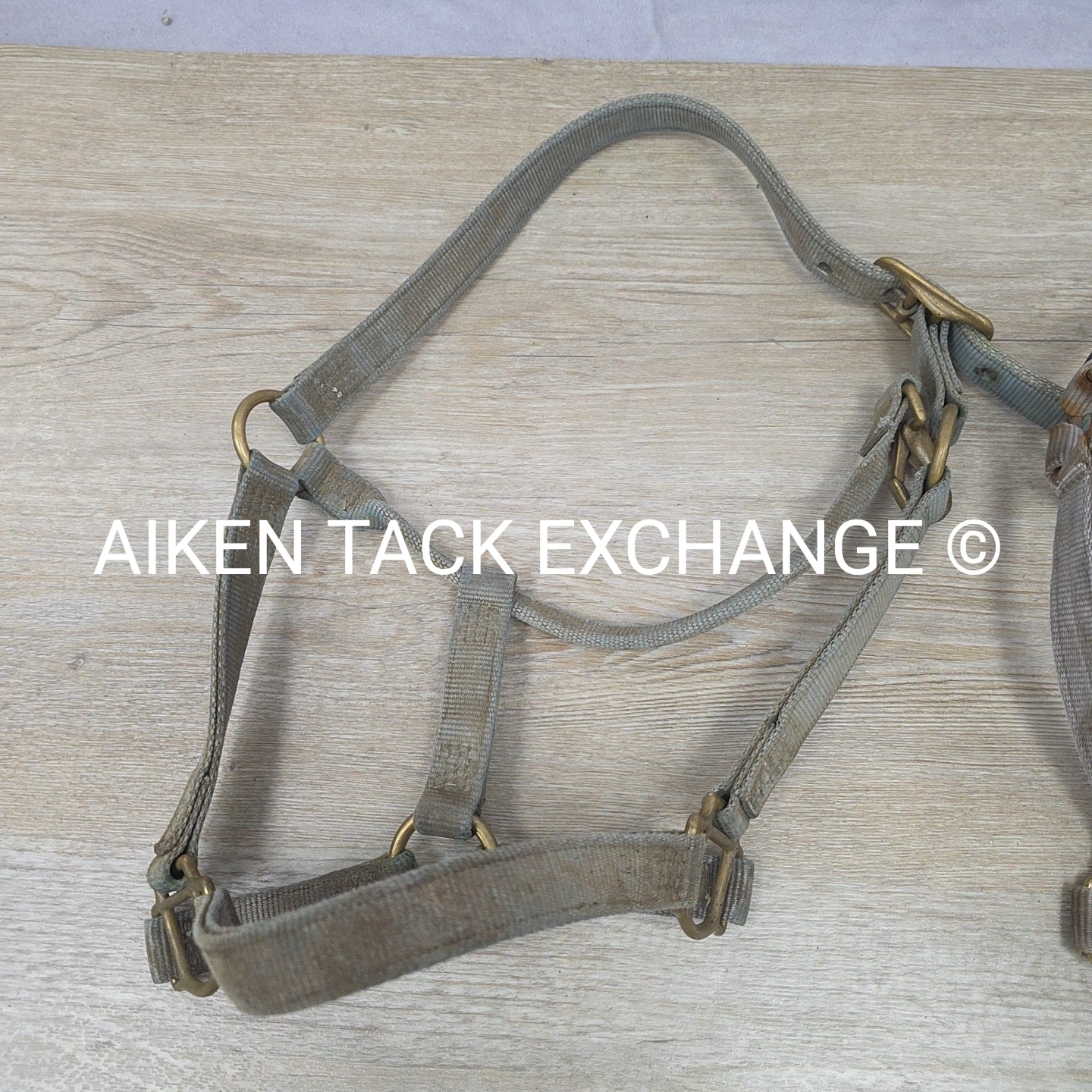 BARGAIN BUNDLE 5 Weaver Leather Nylon Halters, Size Horse