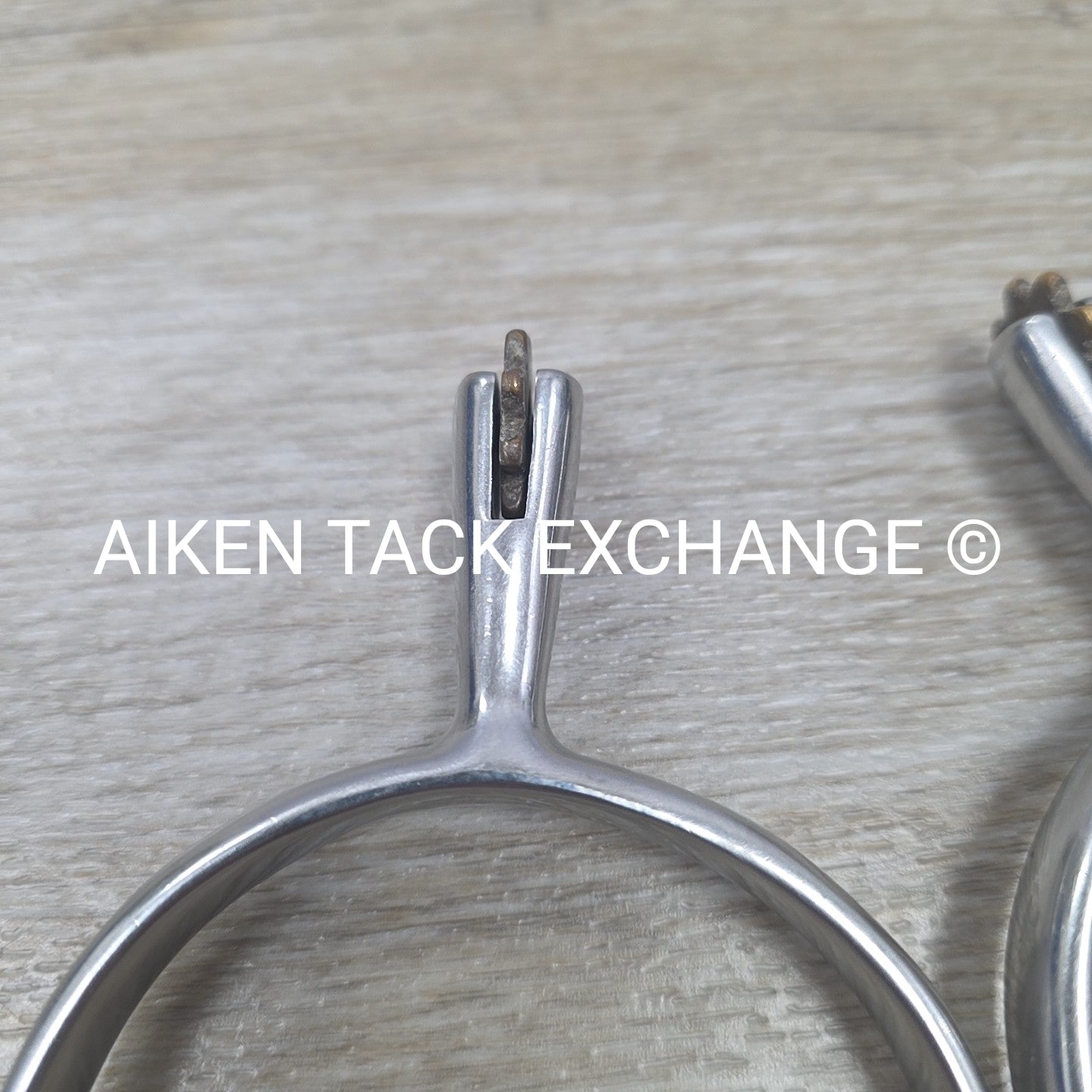 Star Tooth Rowel Spurs, No Straps