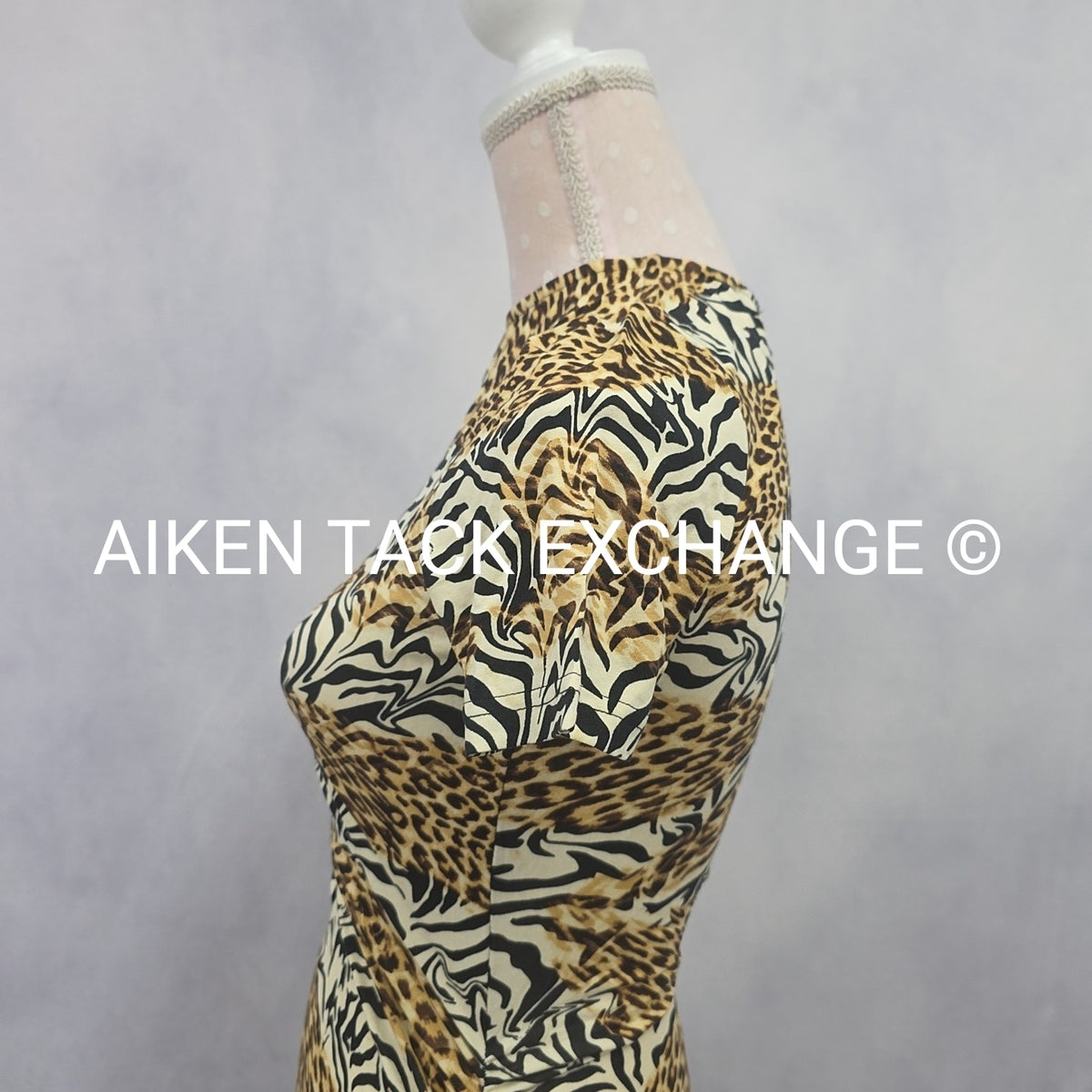 Venus Dress, Size X-Small