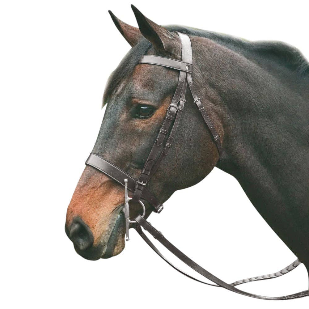 HENRI DE RIVEL POLO BRIDLE WITH DOUBLE REINS: Pony