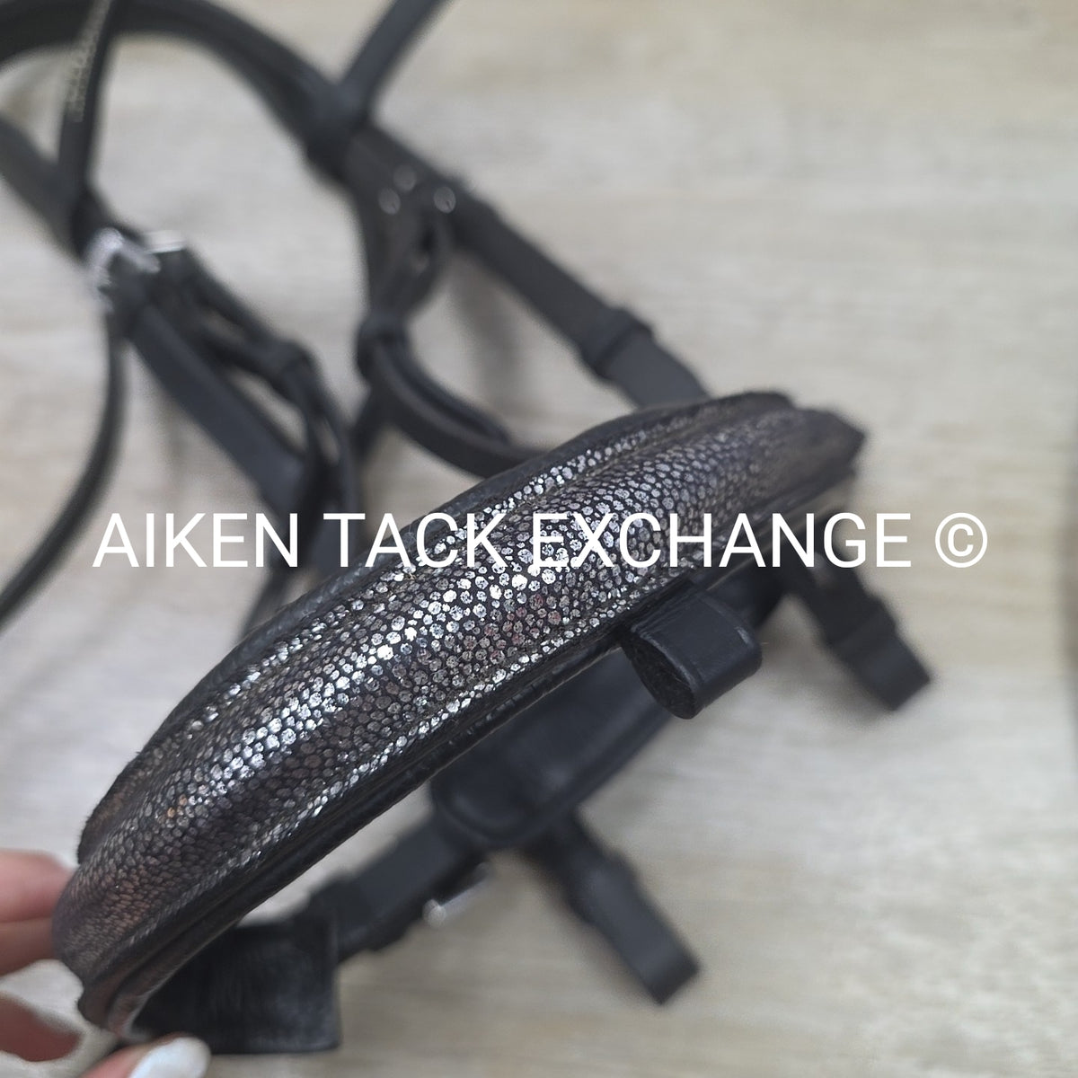Ovation Dressage Bridle, Missing Flash Strap, with Cotton Web Reins, Black, Full