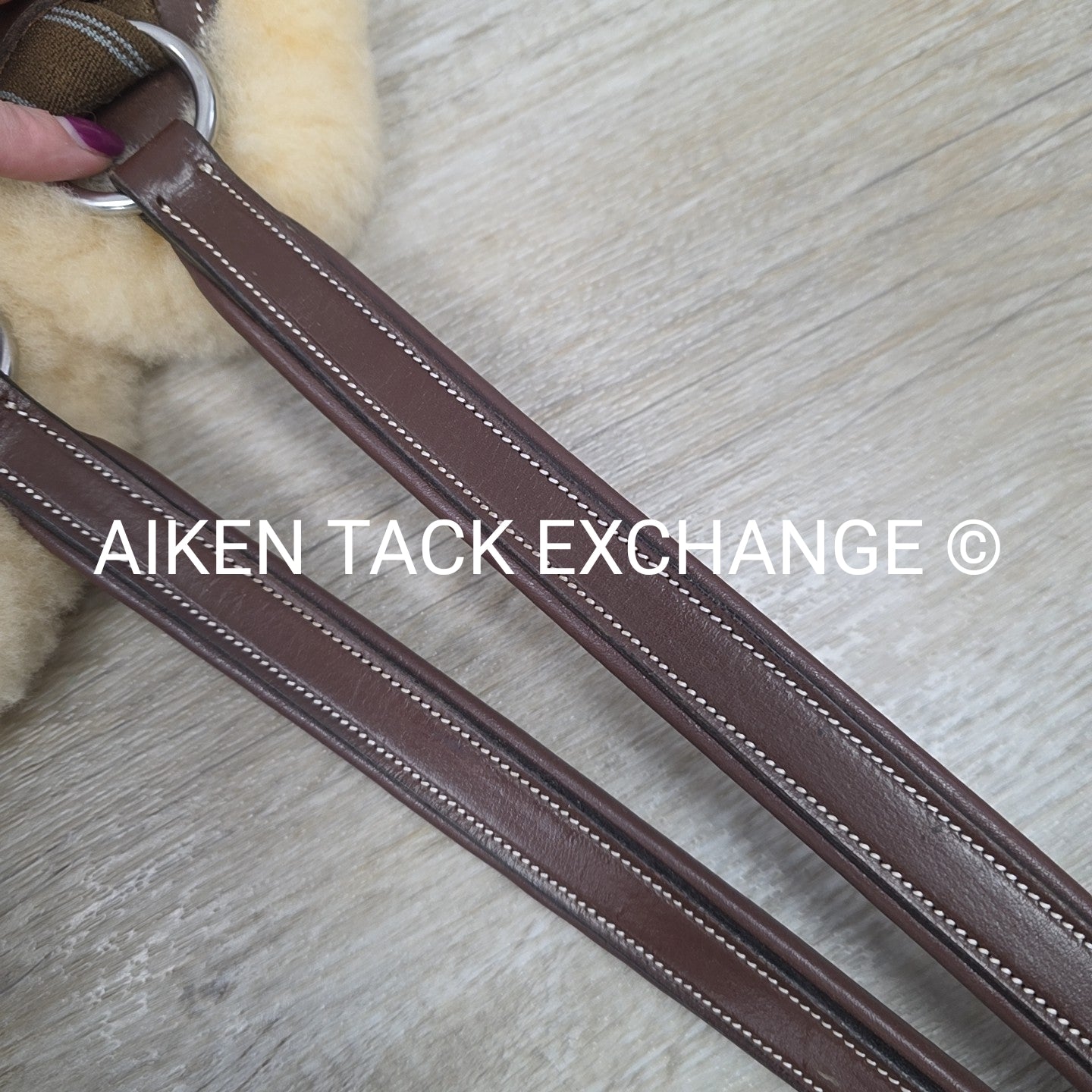 HDR Pro 5 Point Elastic Breastplate, No Running Attachment, Brown, Size Full