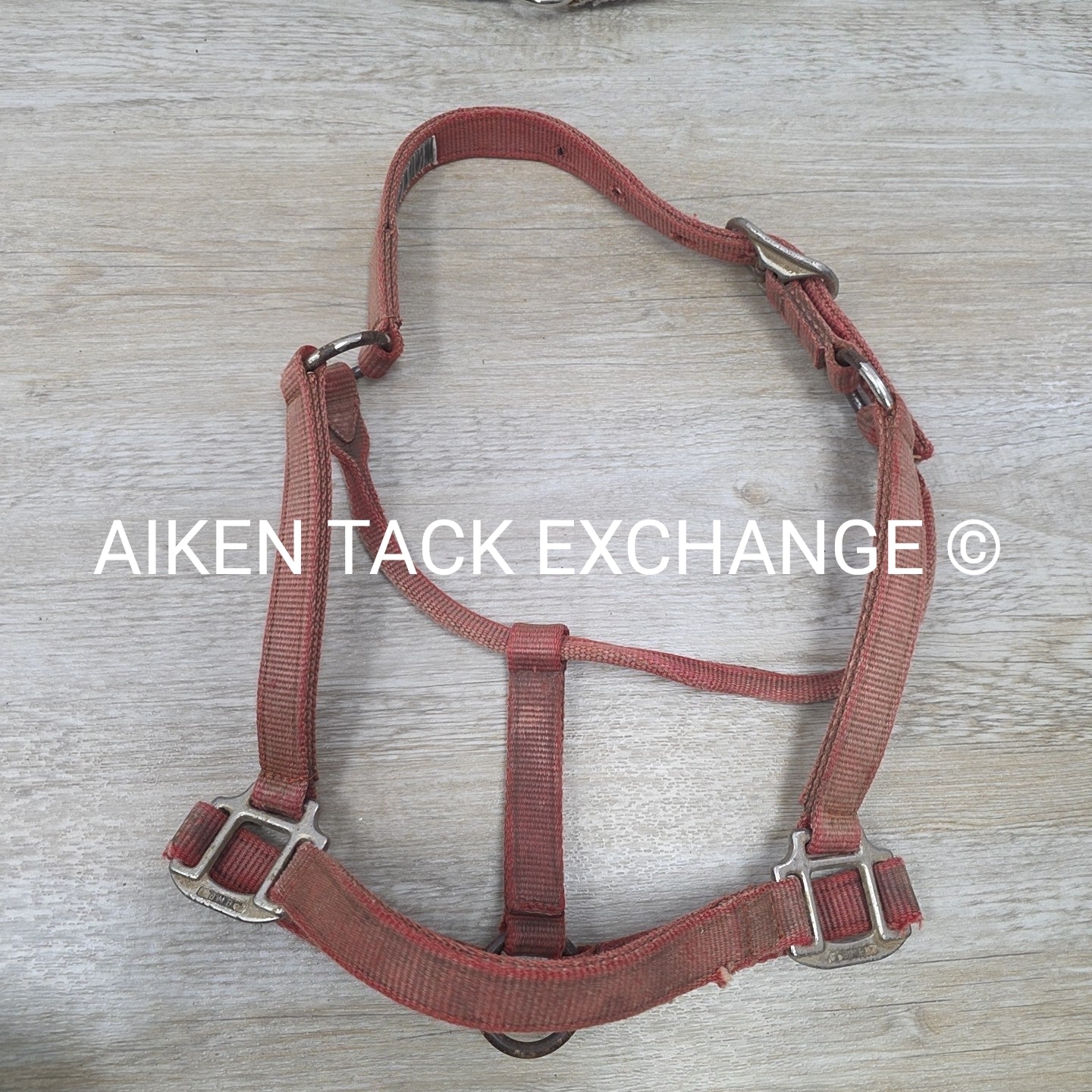 BARGAIN BUNDLE 5 Weaver Leather Nylon Halters, Size Horse