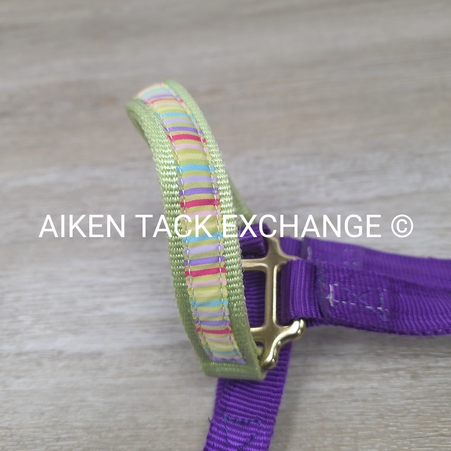 Perri's Nylon Breakaway Halter w/ Cotton Lead Rope, Size Cob
