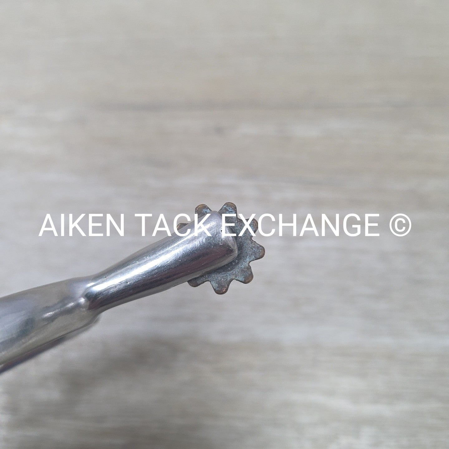 Star Tooth Rowel Spurs, No Straps