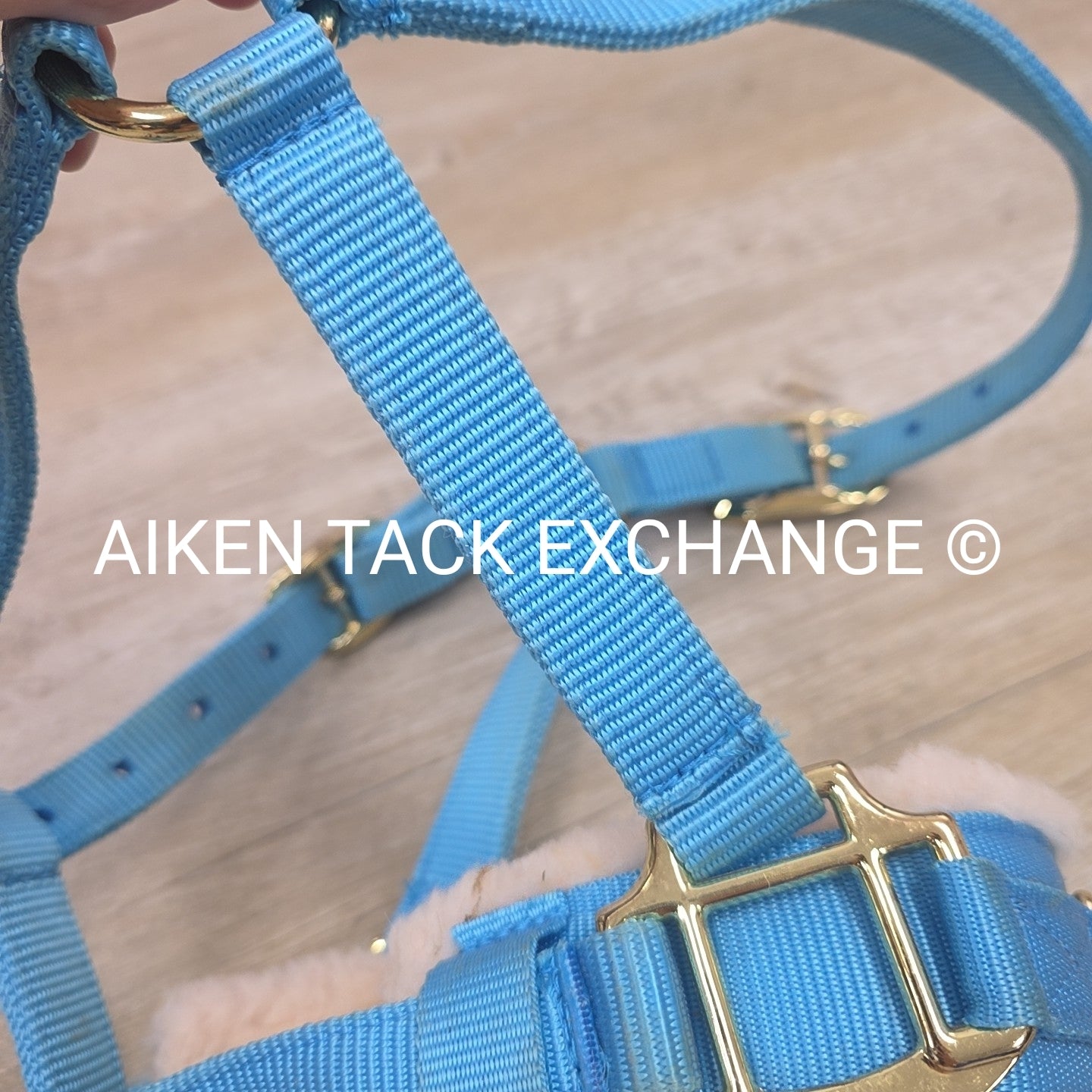 Shires Lunge Cavesson, Size Pony