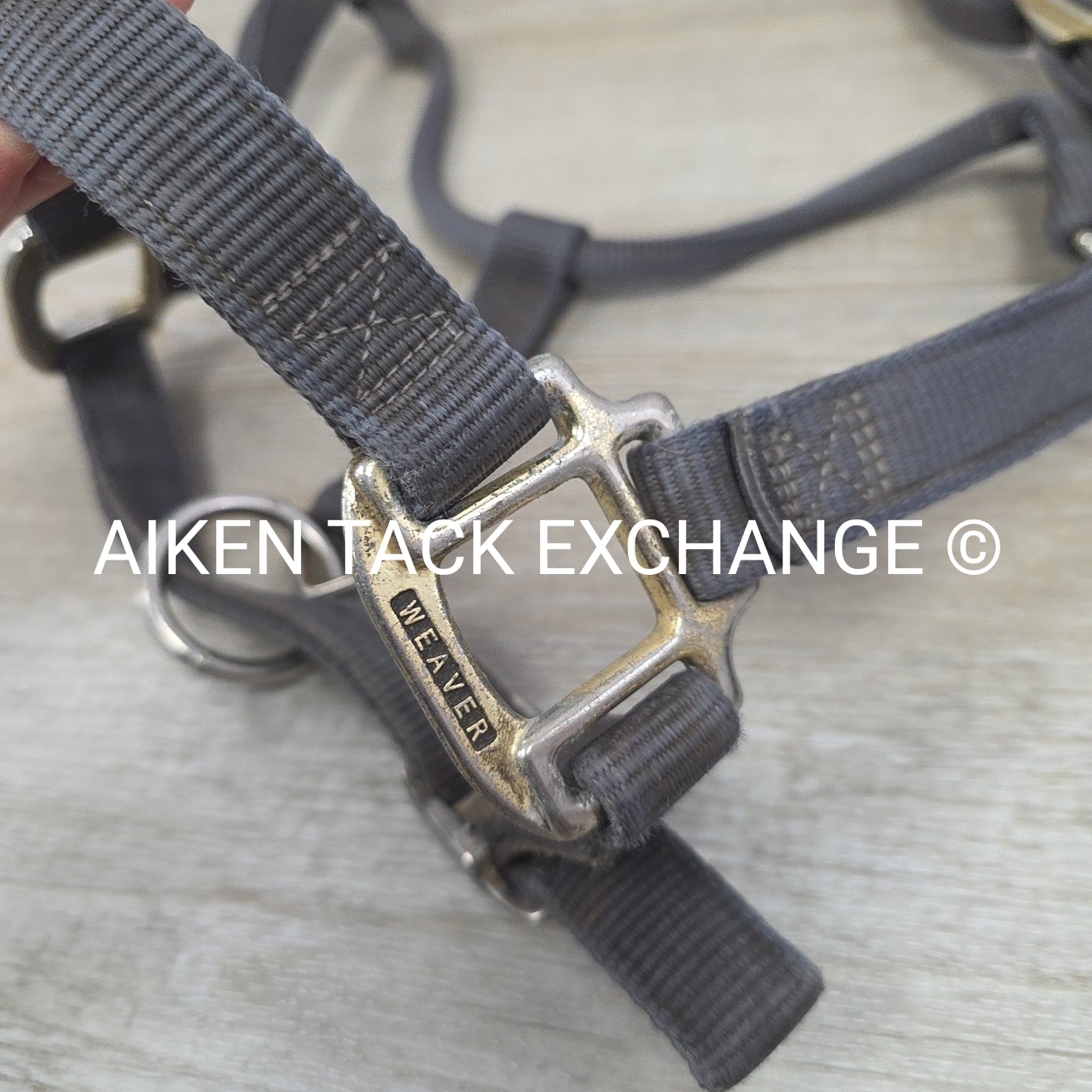 BARGAIN BUNDLE 3 Weaver Leather Nylon Halters, Size Horse