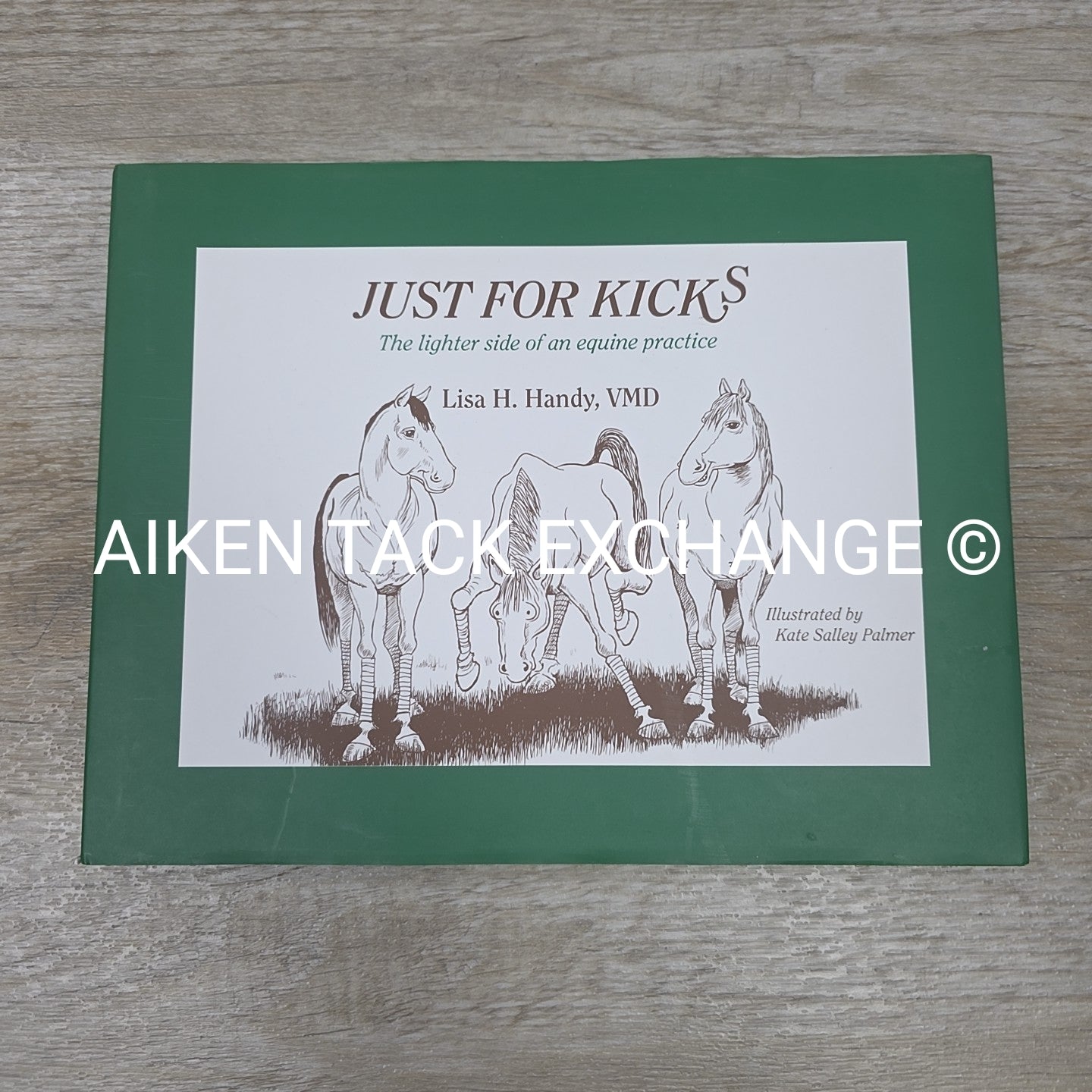 Just for Kicks by Lisa H. Handy