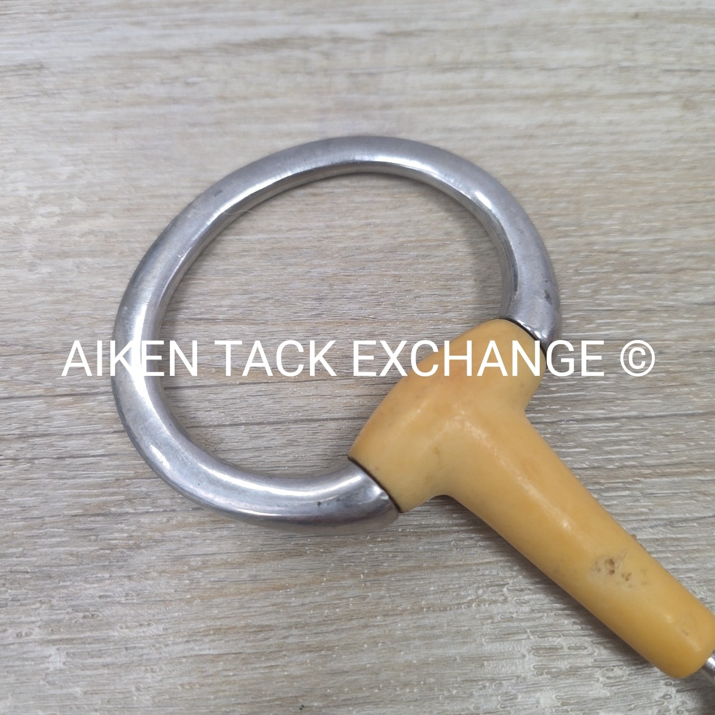 Single Joint Plastic Eggbutt Bit 5" (Has Chew Marks)