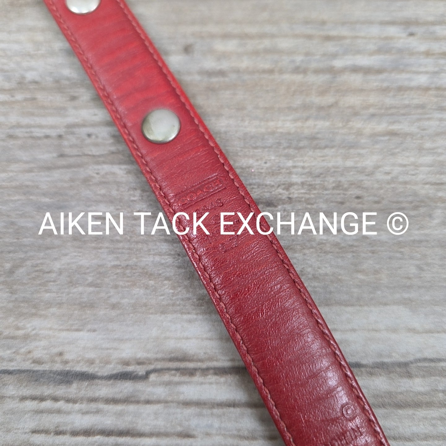 Coach Leather Red Grommet Dog Collar, Size Small