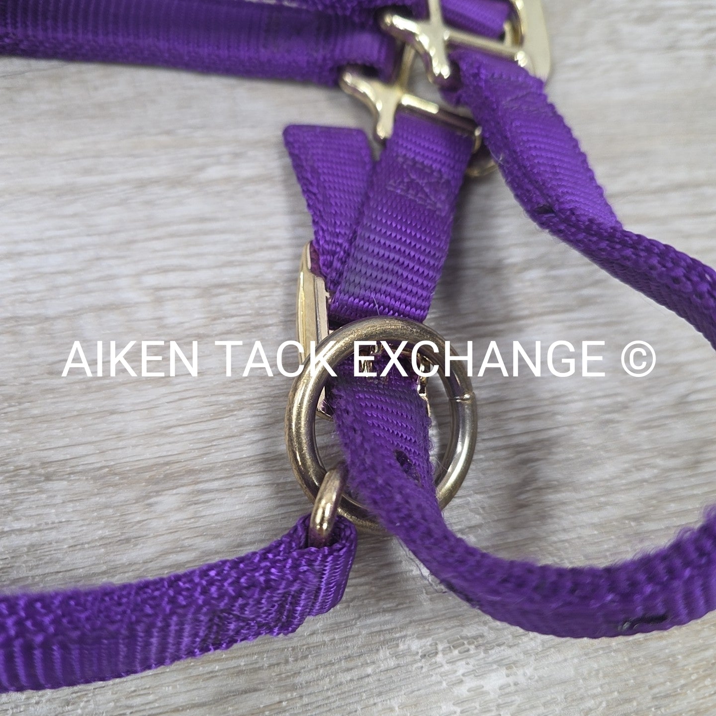 Weaver Leather Nylon Halter, Size Medium Arab