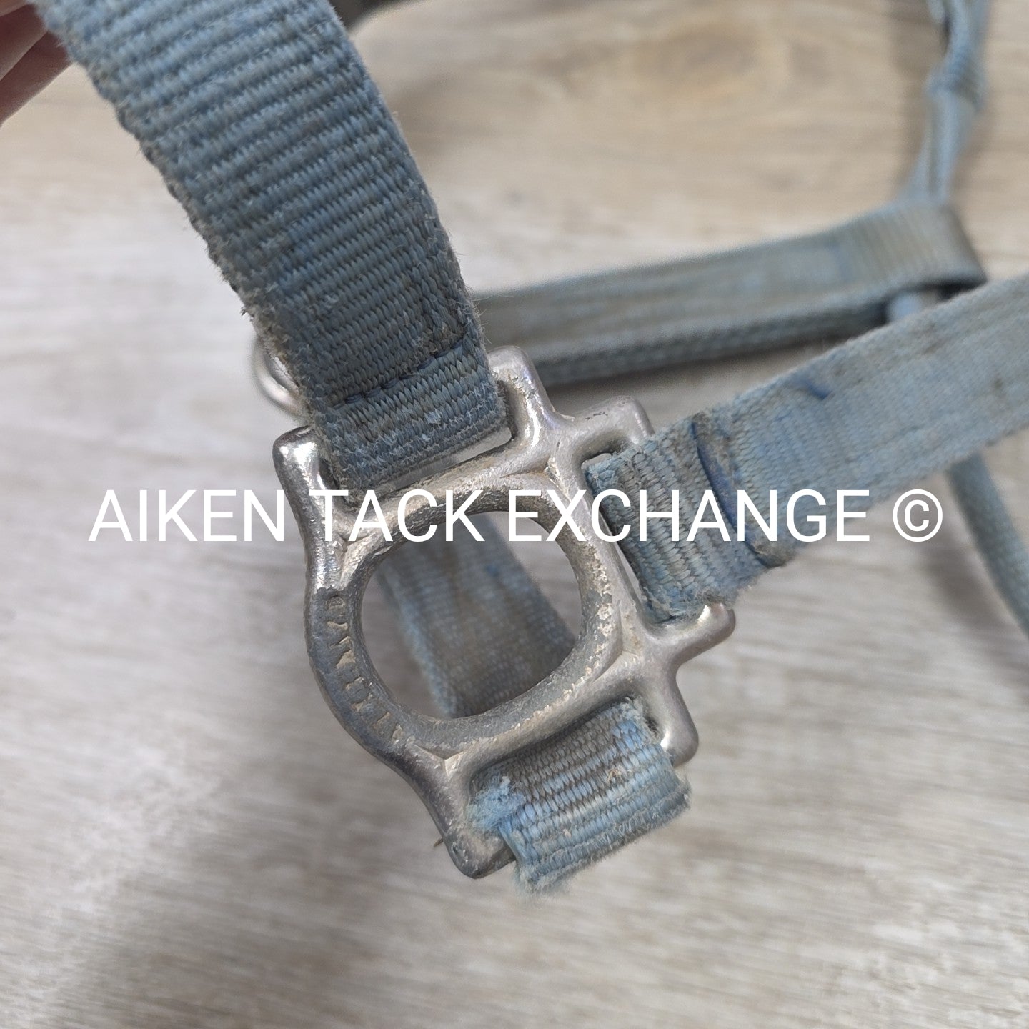 BARGAIN BUNDLE 5 Weaver Leather Nylon Halters, Size Horse