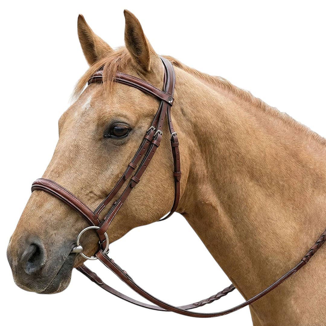 Henri de Rivel Pro Fancy Raised Comfort Crown Padded Bridle: Havana / Pony