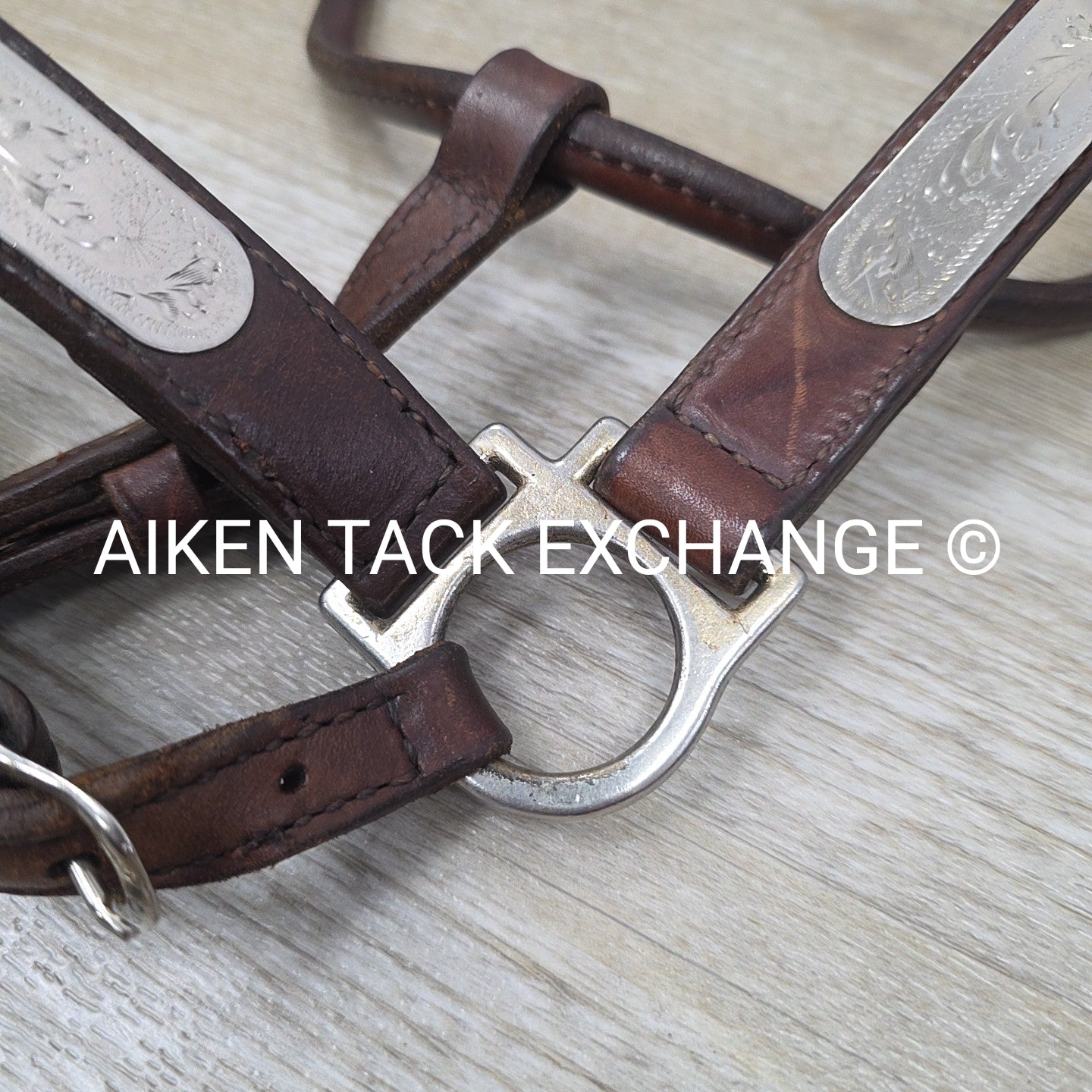 Circle Y Engraved Show Halter with Matching Lead, Size Full