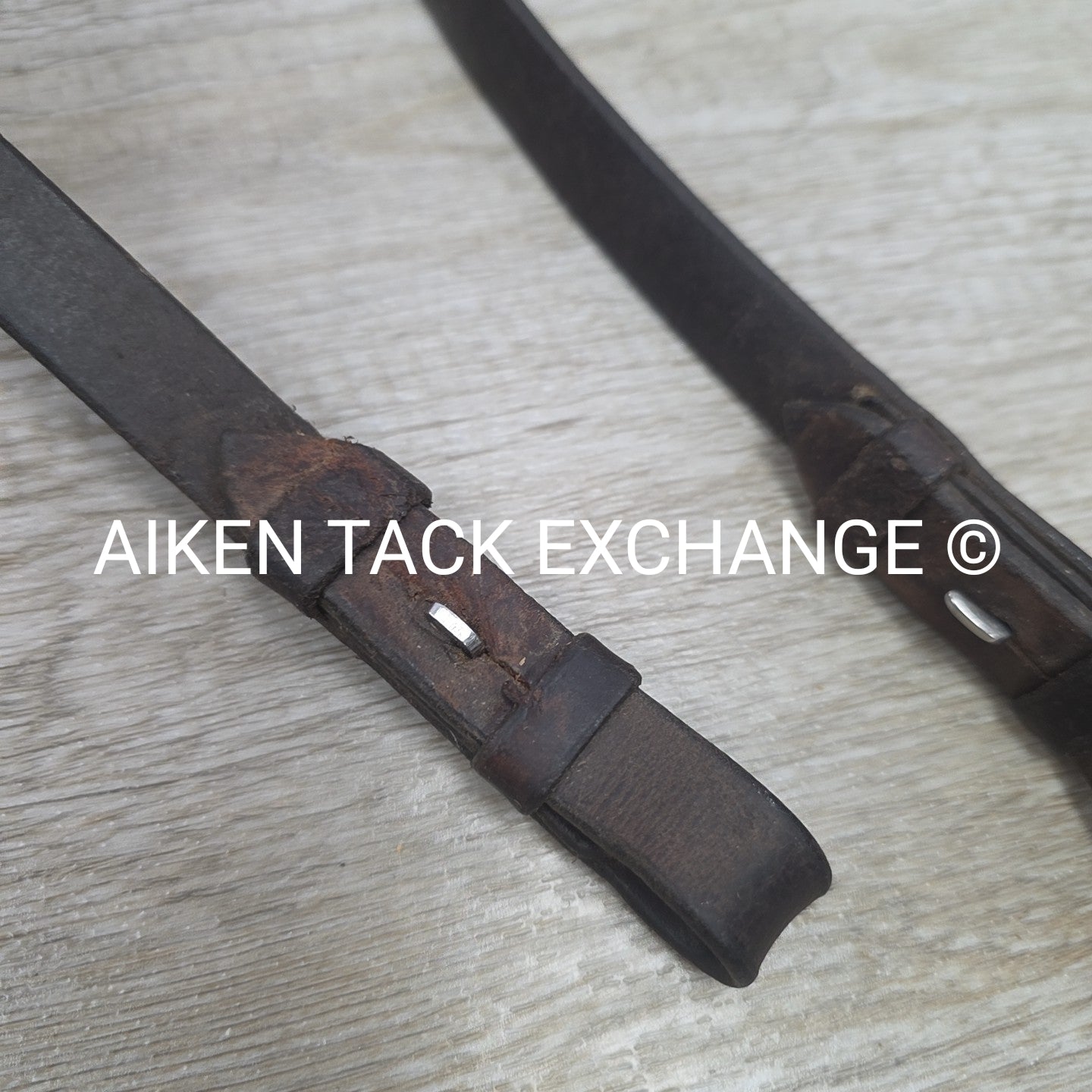 BARGAIN BUNDLE: Nunn Finer Laced Reins, Flat Reins, & Standing Martingale