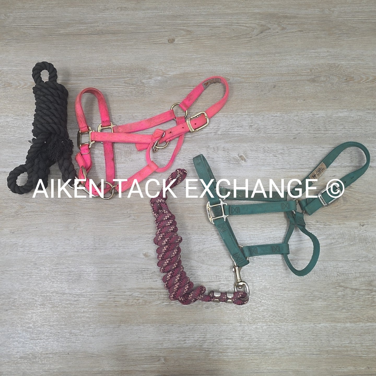 BARGAIN BUNDLE: 2 Nylon Halters & 2 Lead Ropes
