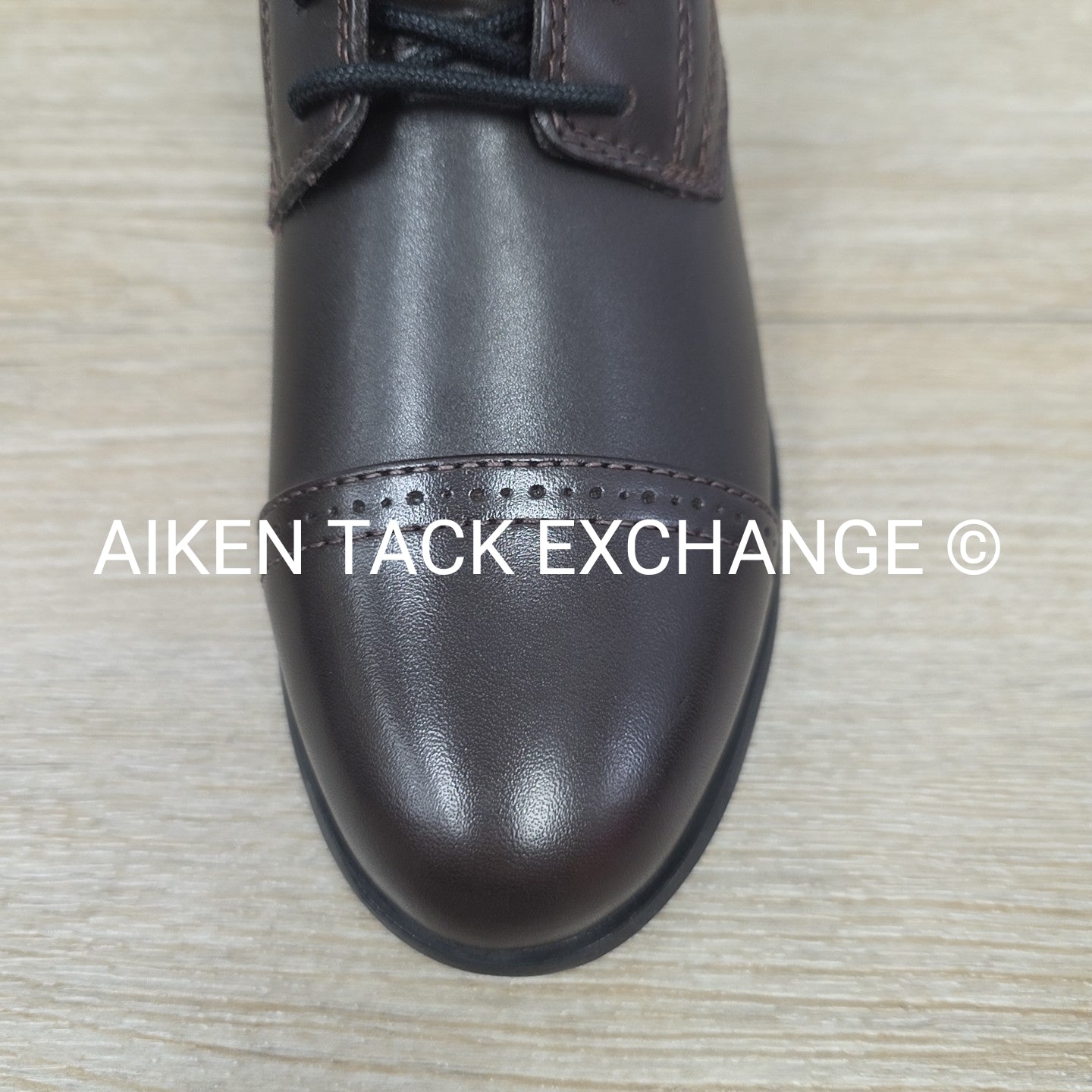 Ariat Heritage III Laced Paddock Boots, Brown, Brand New, Women's 6.5 B