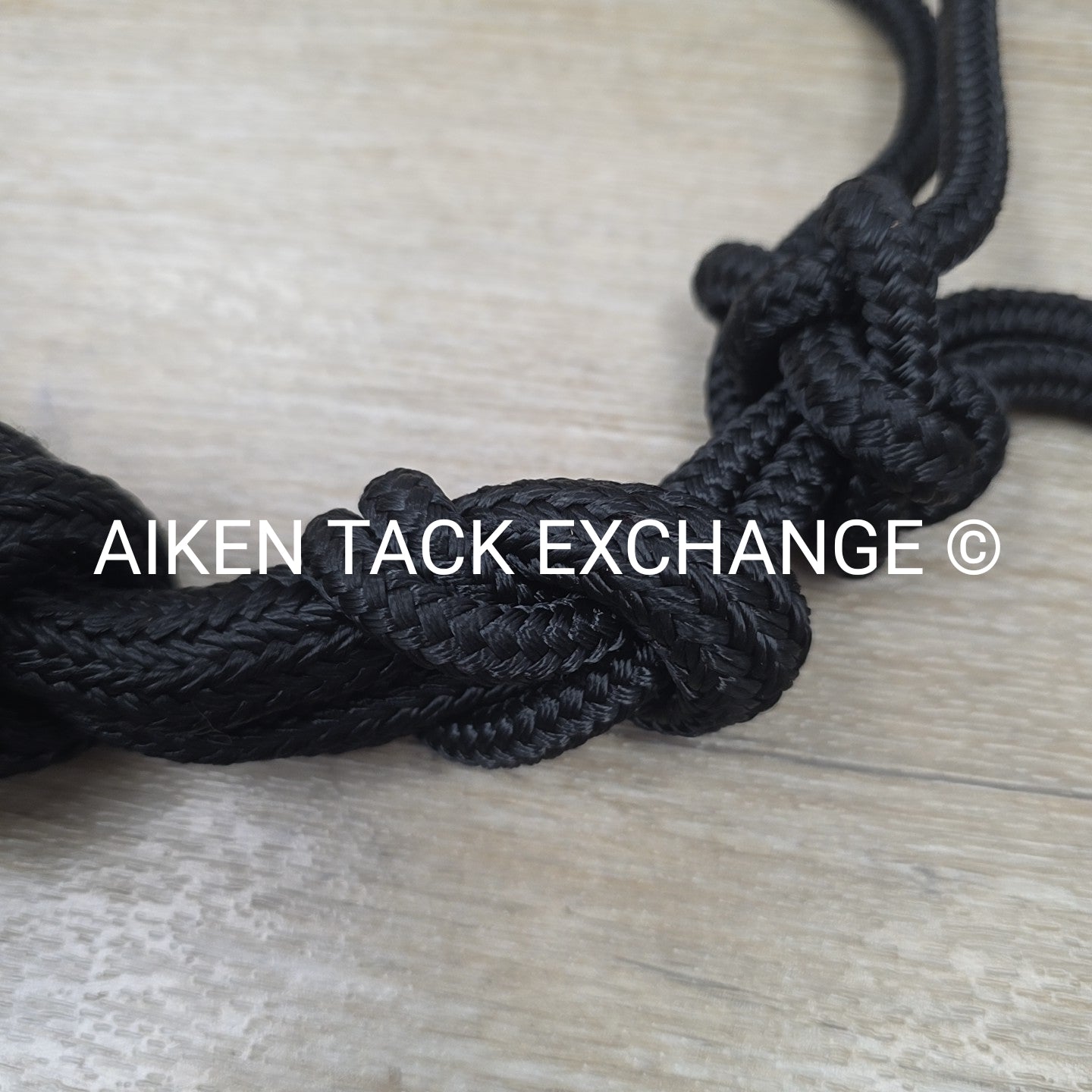 Rope Halter with Lead