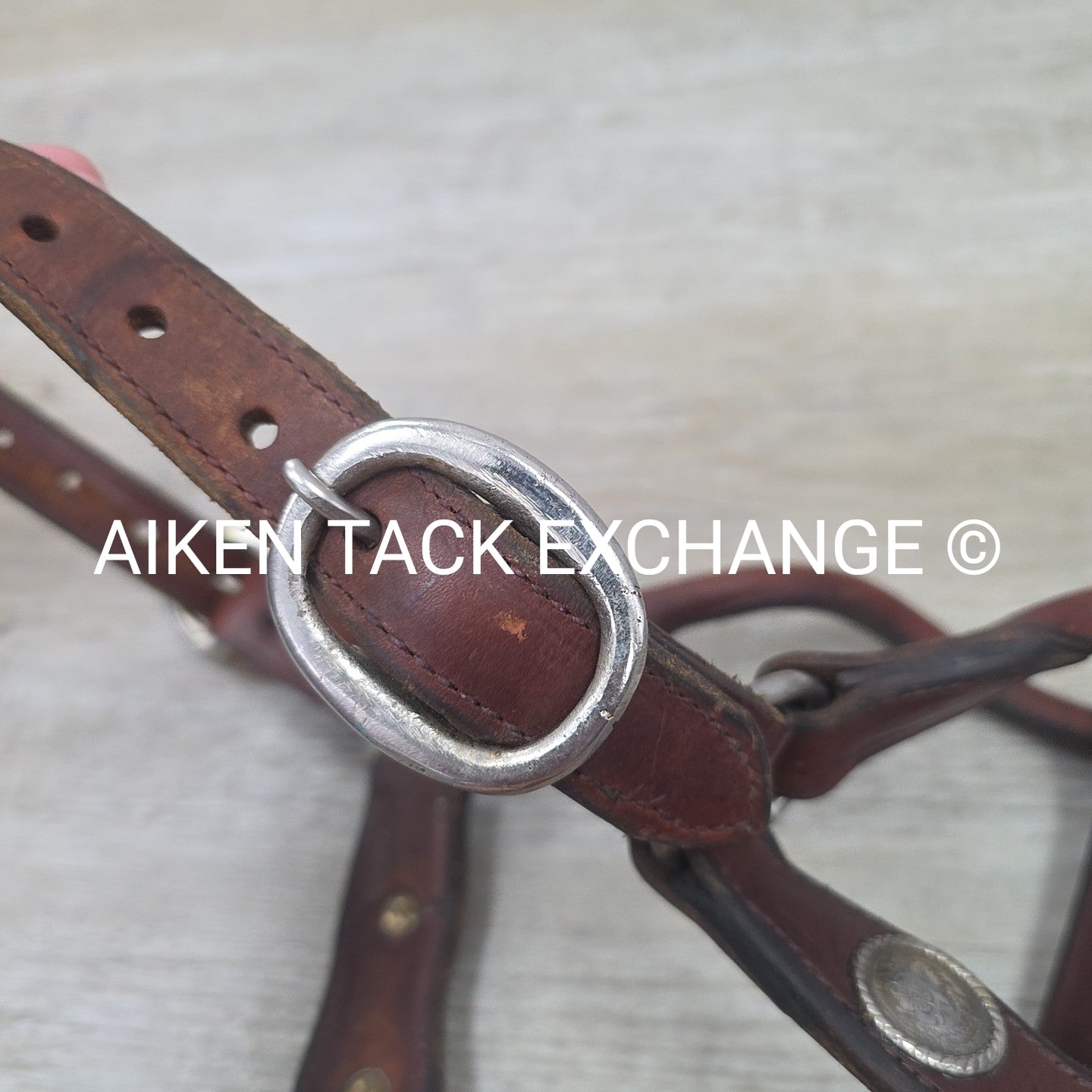Western Show Halter, Size Full