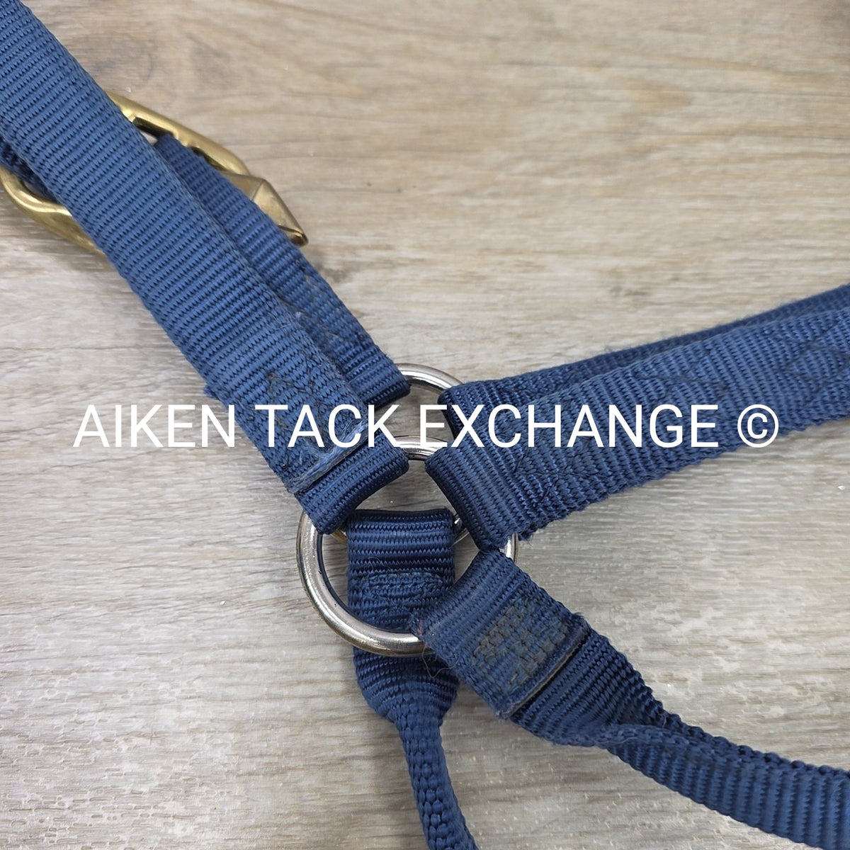 Hamilton Nylon Halter & Lead, Large Horse