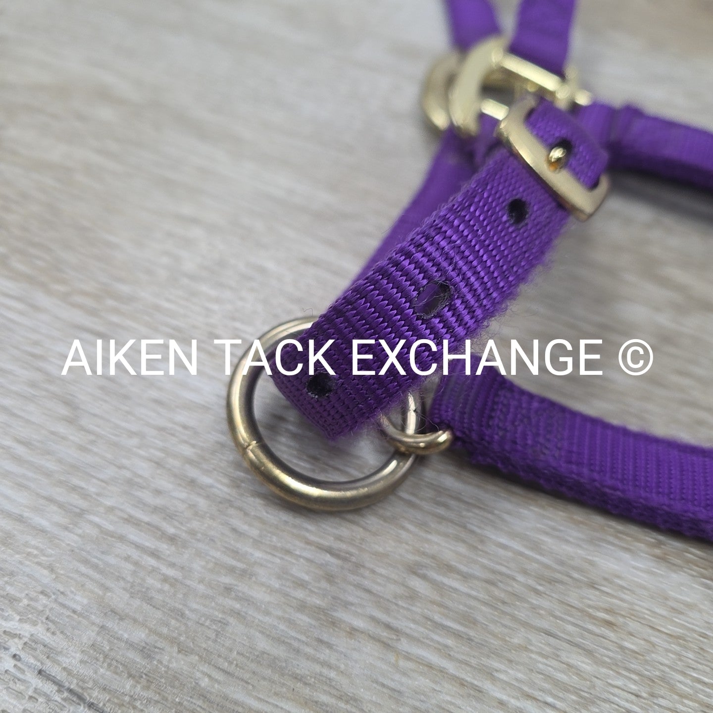 Weaver Leather Nylon Halter, Size Medium Arab