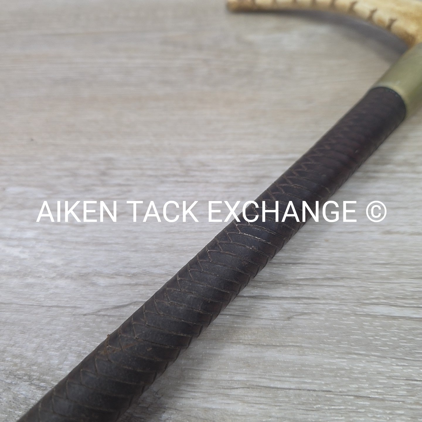 Men's Swaine Staghorn Hunt Whip with Thong / Lash