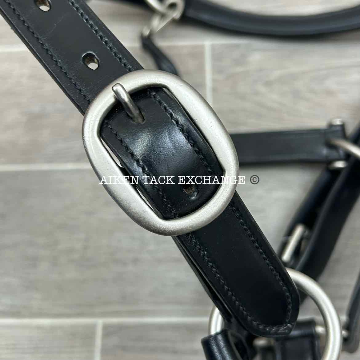 KL Select Red Barn Padded Leather Halter, Black/Nickel, Size Full