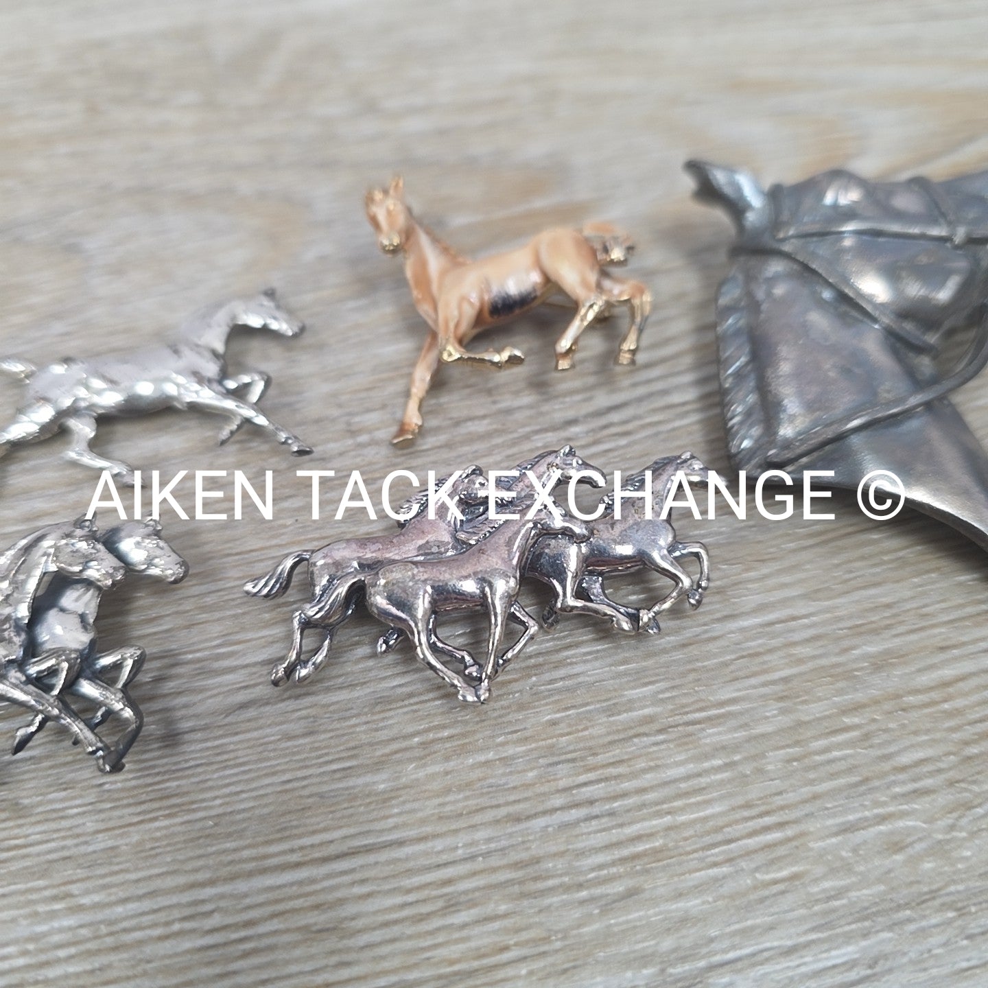 Horse Pin Bundle + 1 Horseshoe Charm
